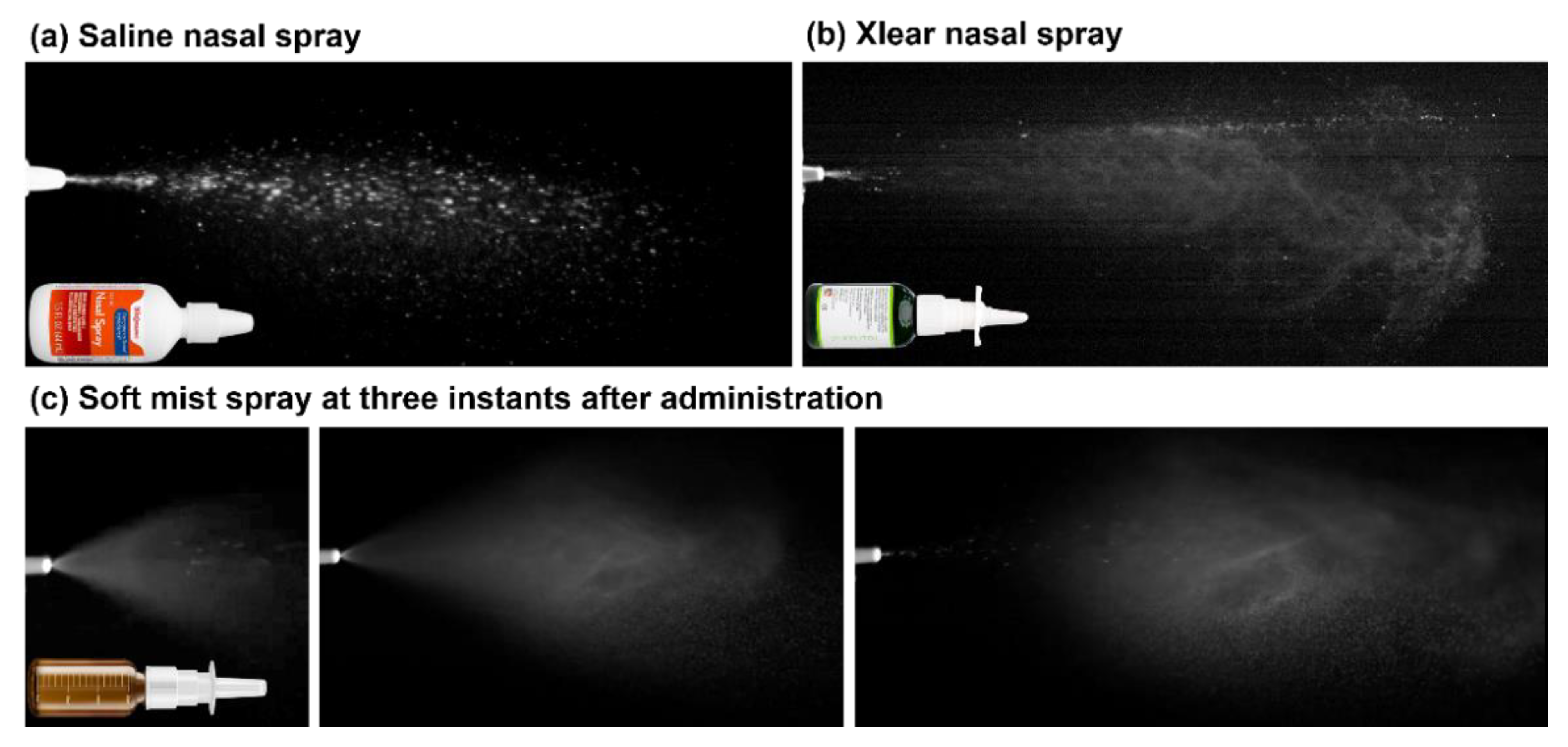 Pharmaceutics 15 00359 g002
