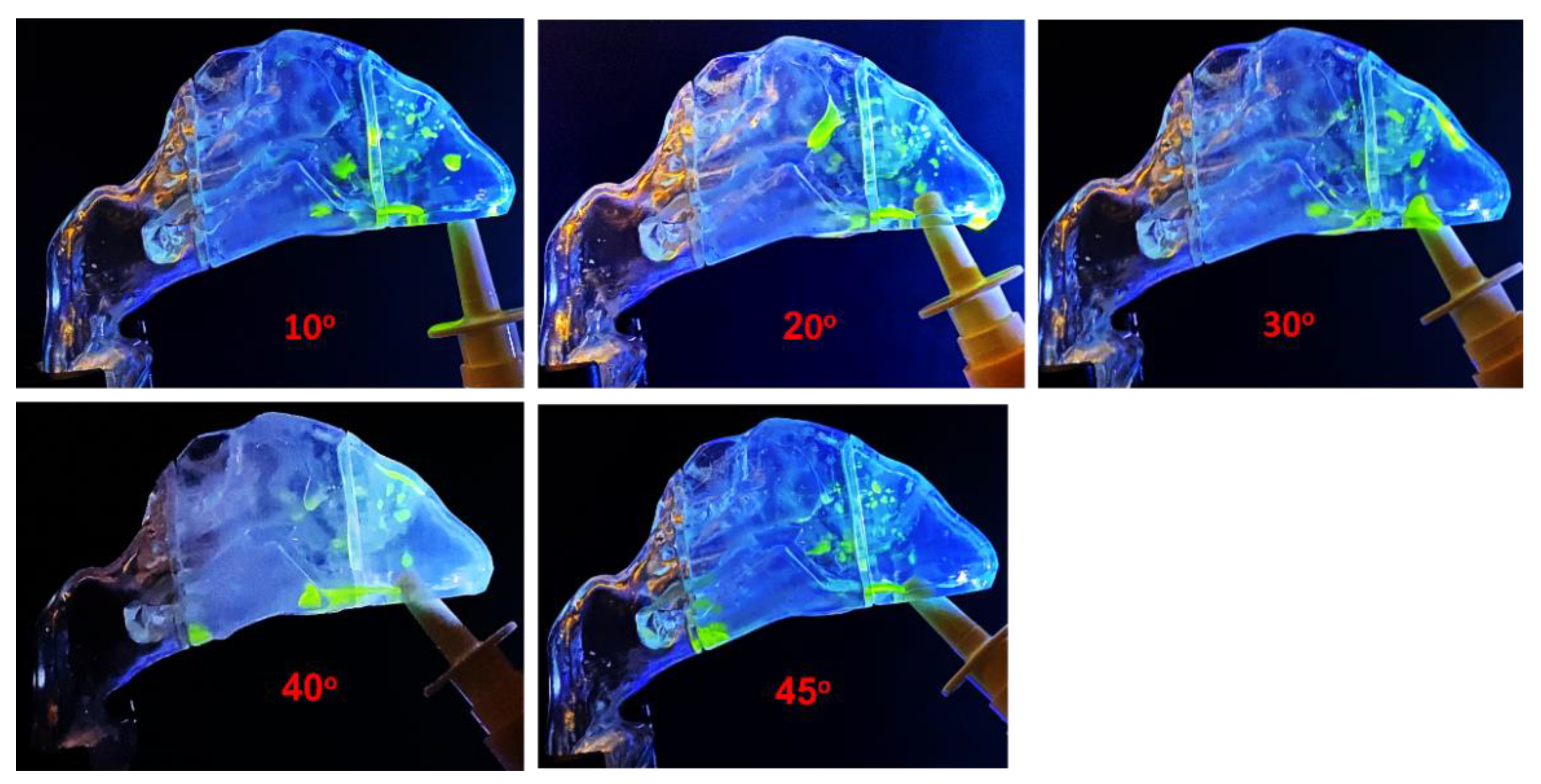 Pharmaceutics 15 00359 g003