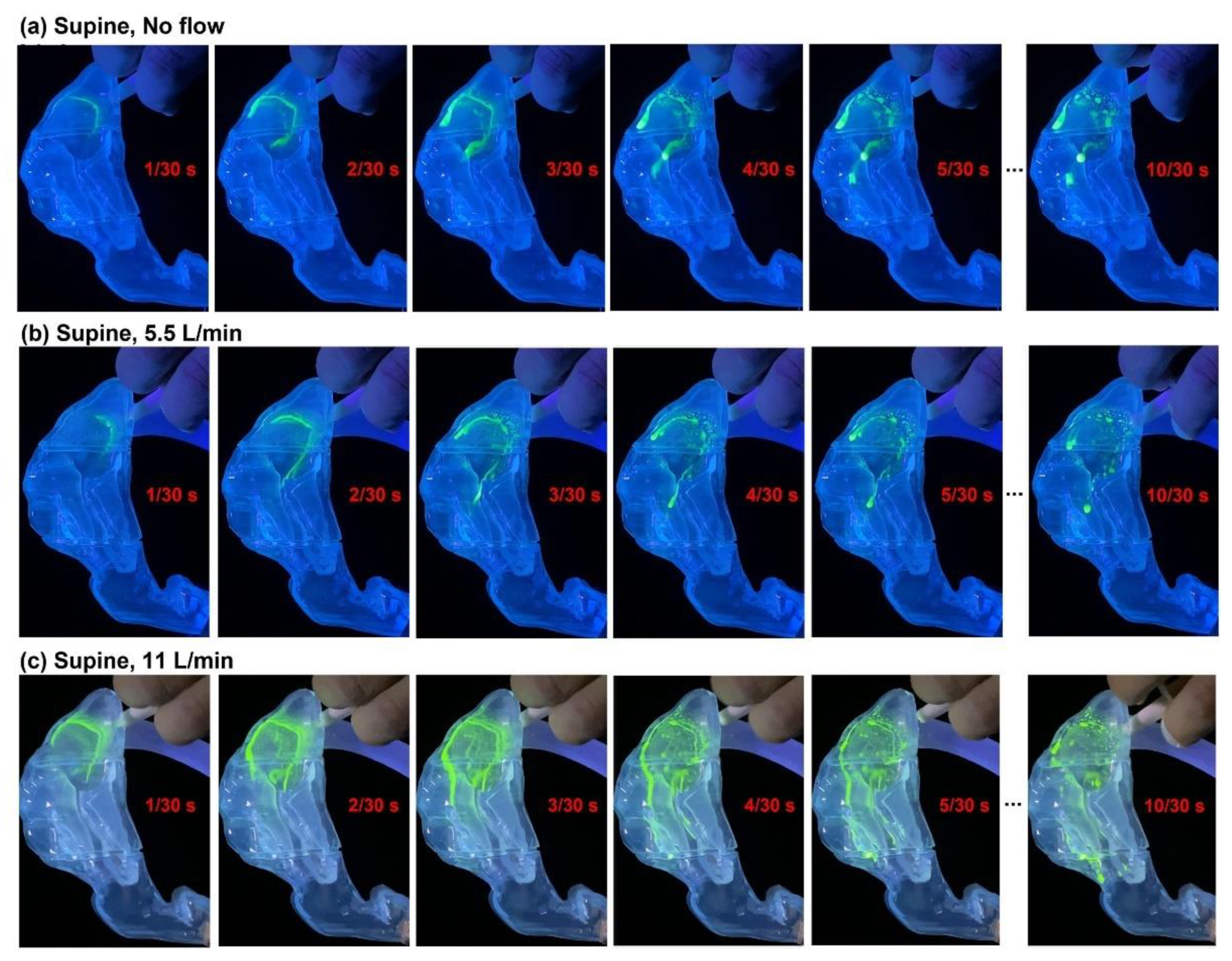 Pharmaceutics 15 00359 g005