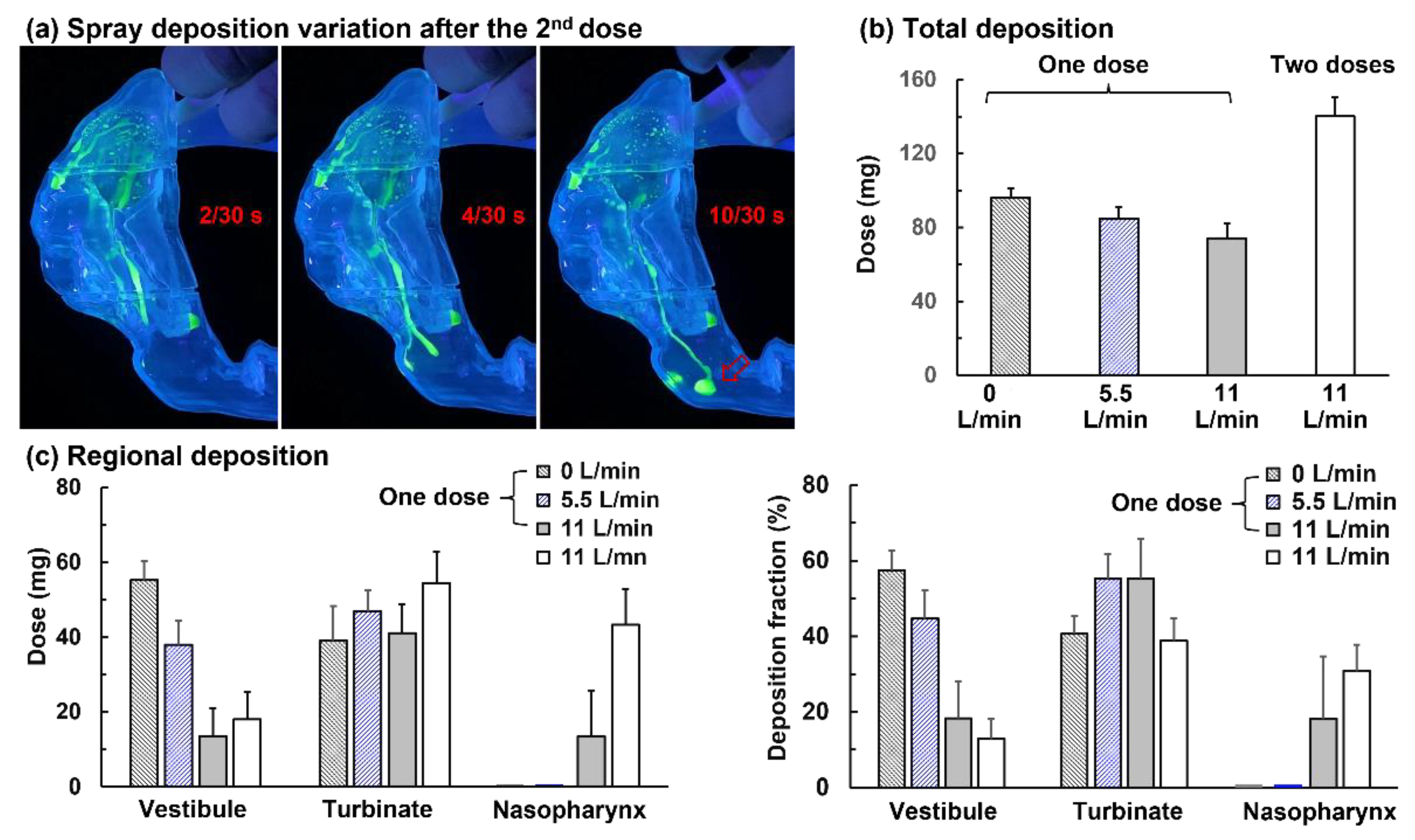 Pharmaceutics 15 00359 g006