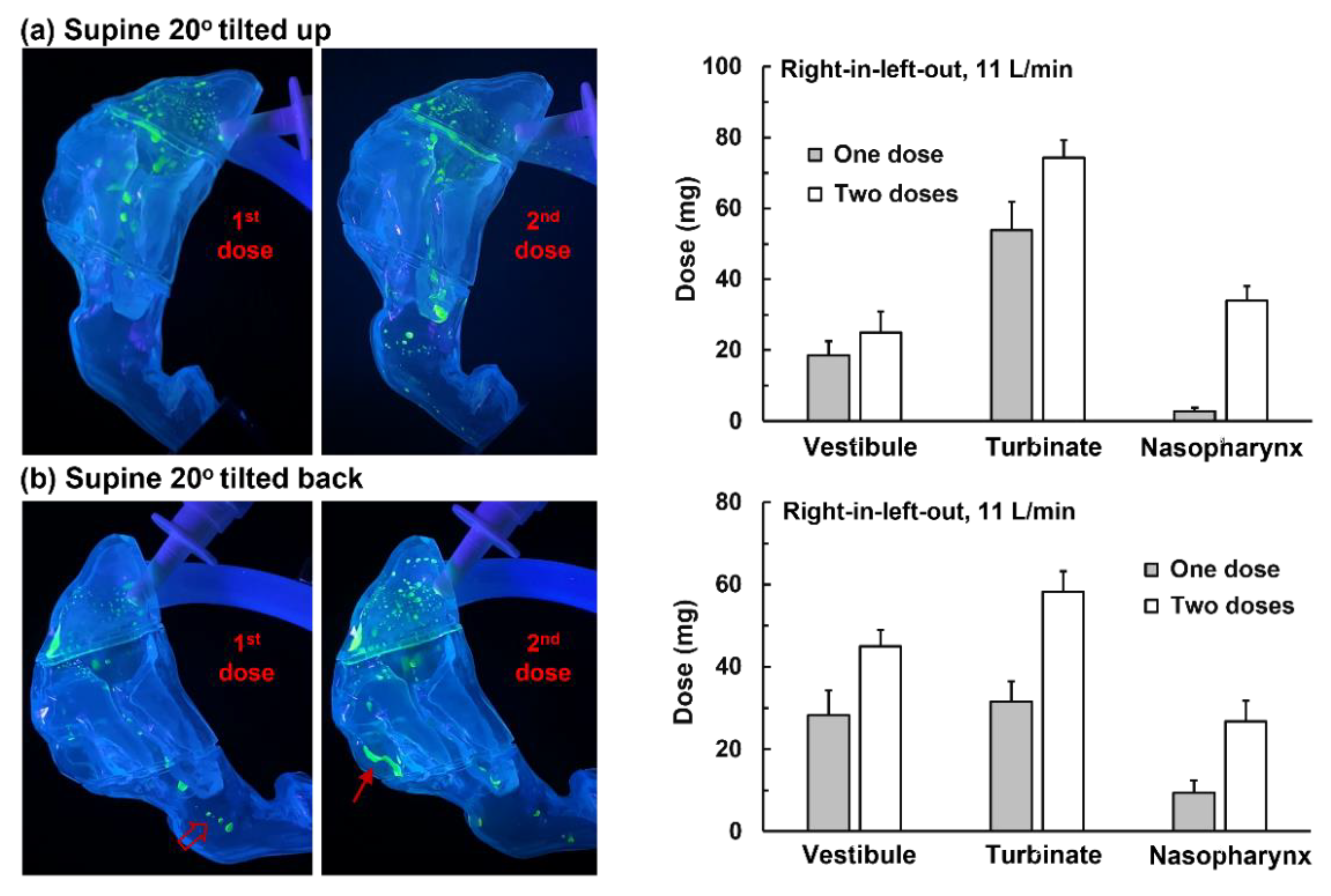 Pharmaceutics 15 00359 g007