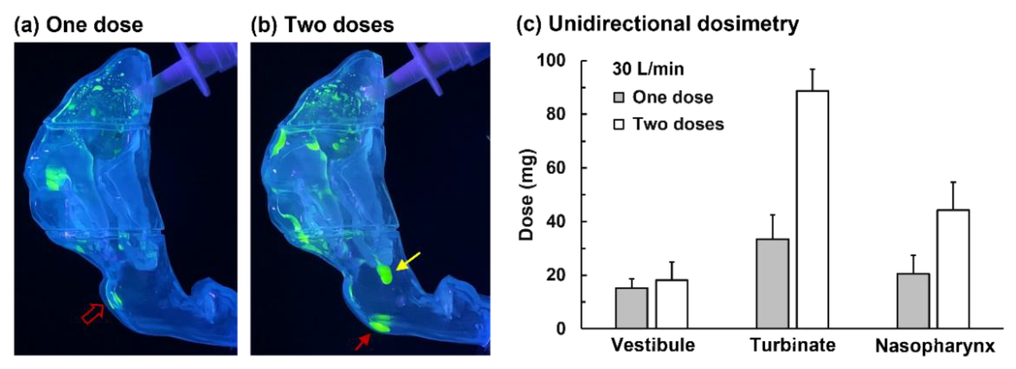 Pharmaceutics 15 00359 g008