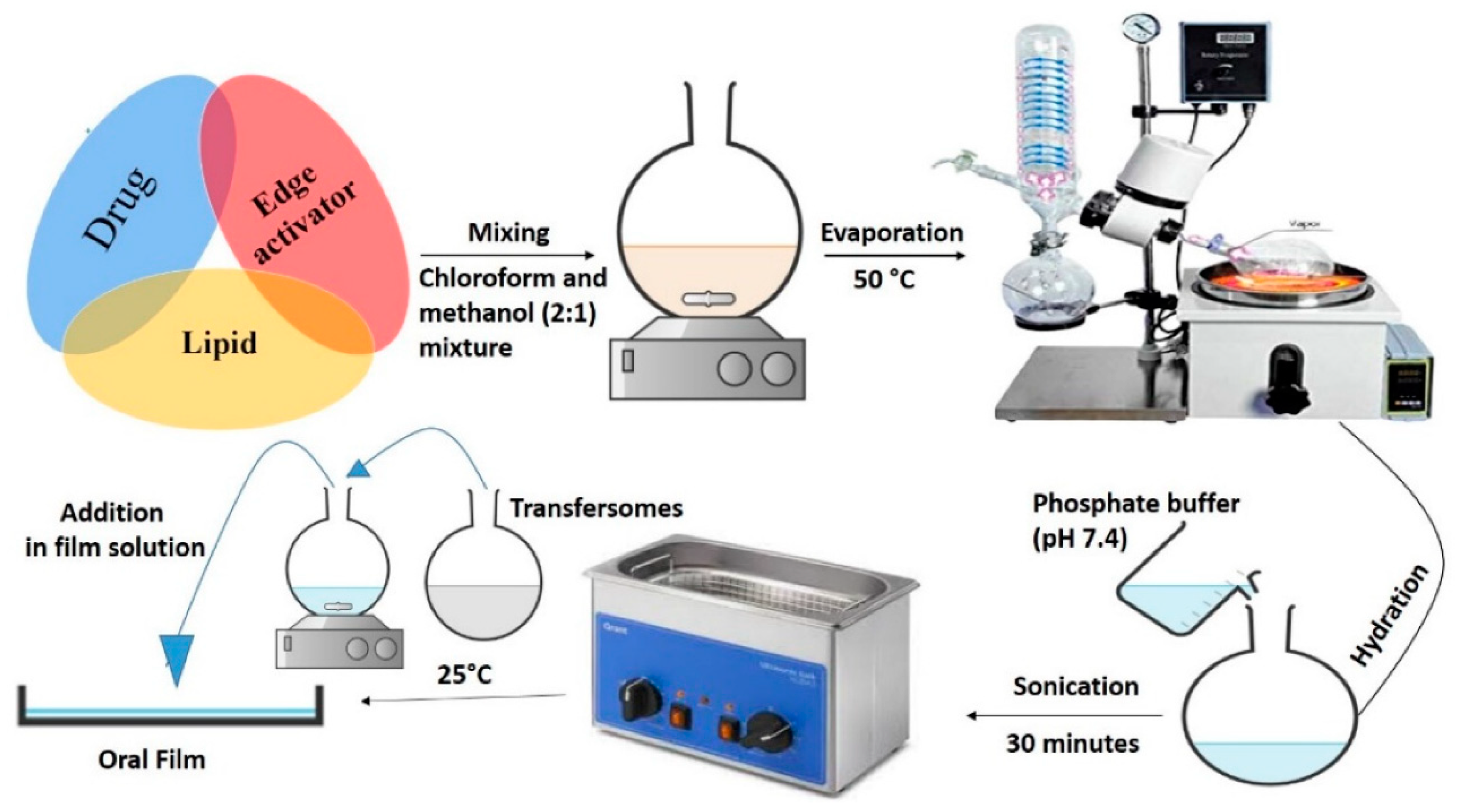 Pharmaceutics 15 00361 g002 Pharmaceutics 15 00361 g002