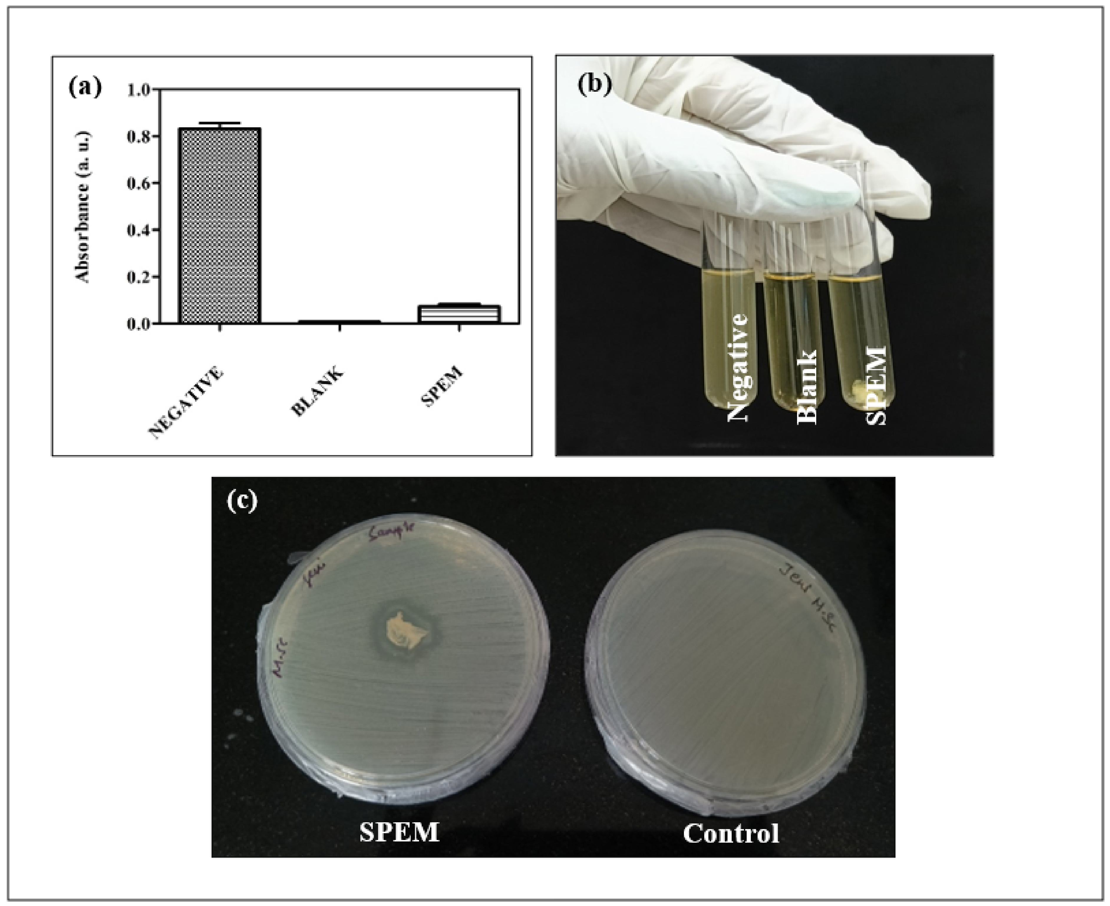 Pharmaceutics 15 00362 g007