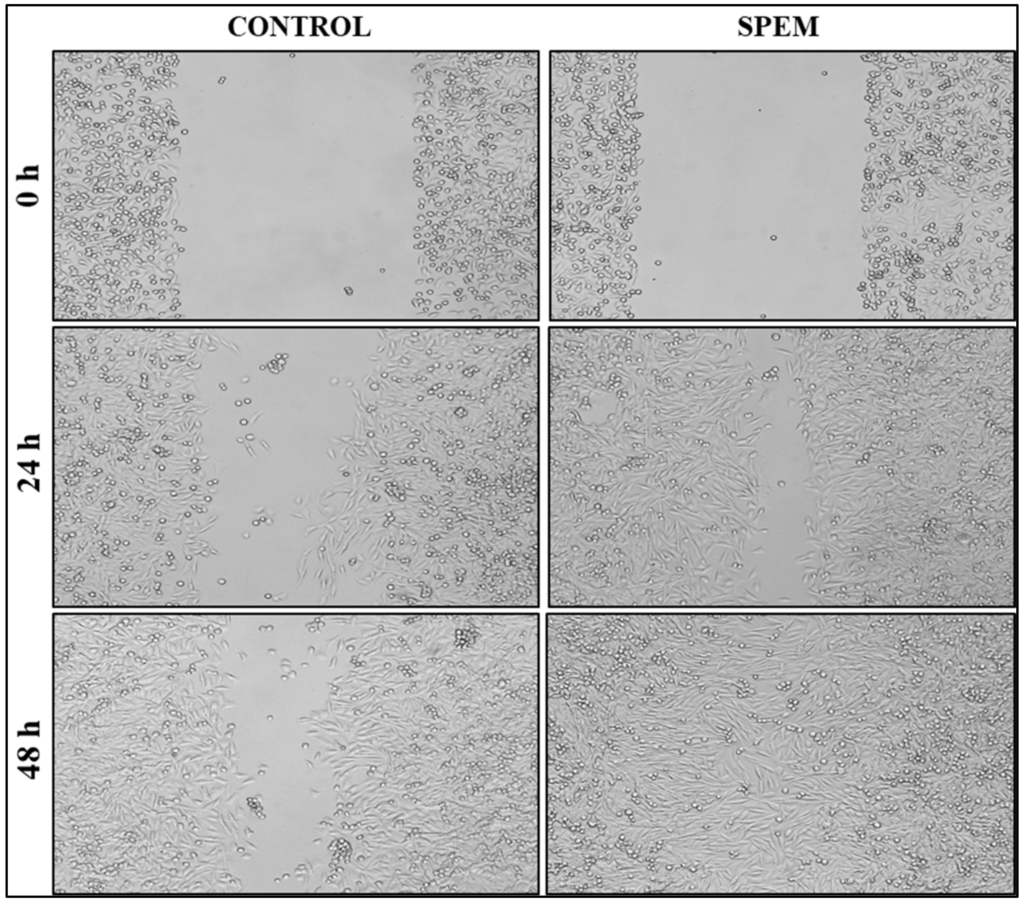 Pharmaceutics 15 00362 g009