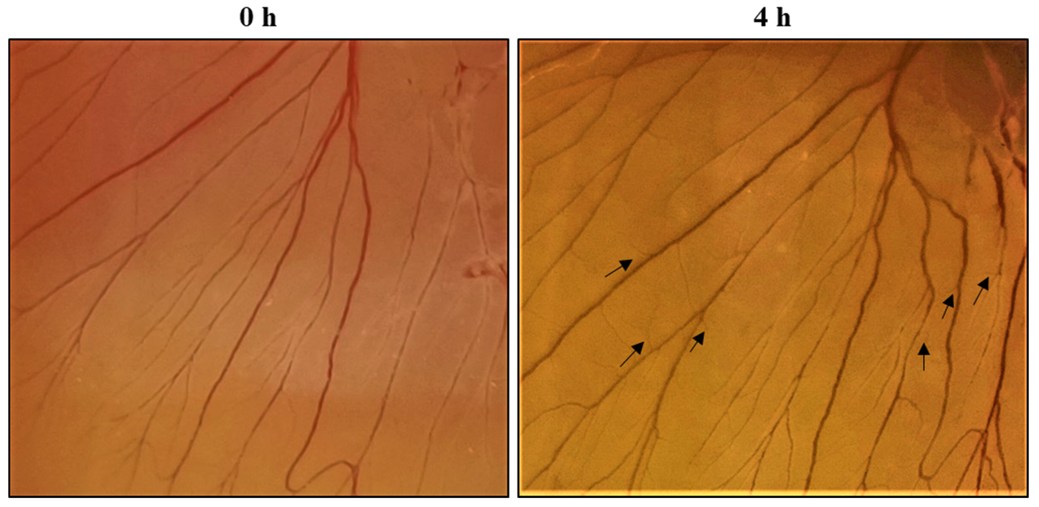 Pharmaceutics 15 00362 g011
