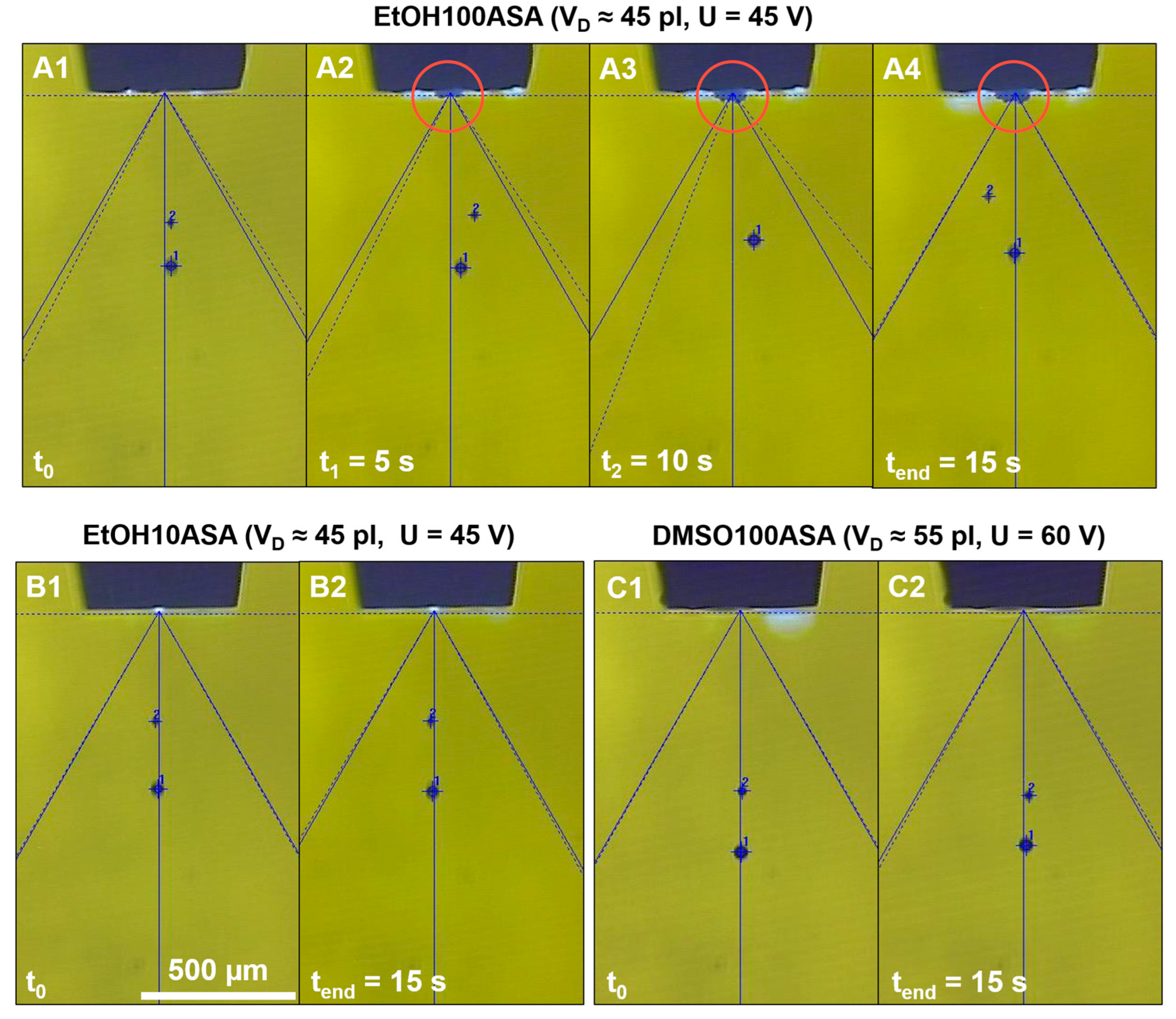 Pharmaceutics 15 00367 g002