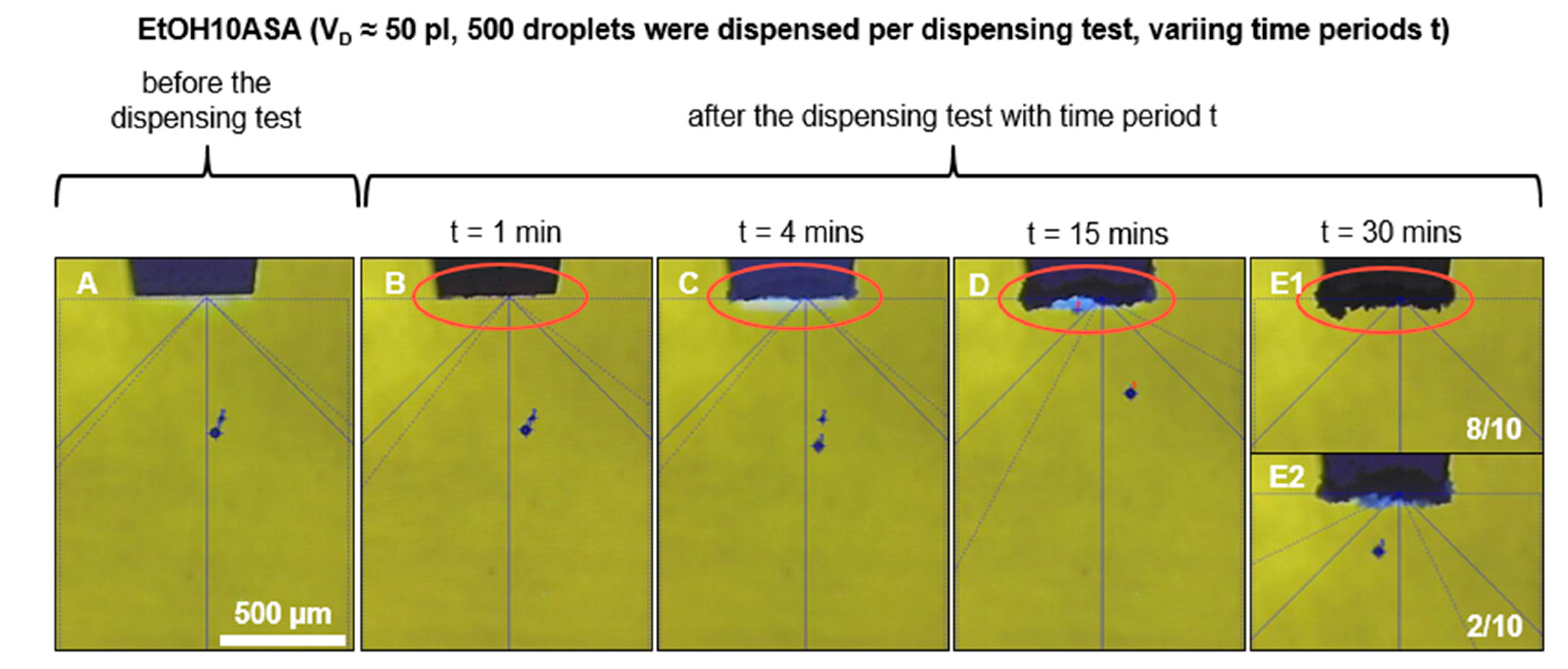 Pharmaceutics 15 00367 g006