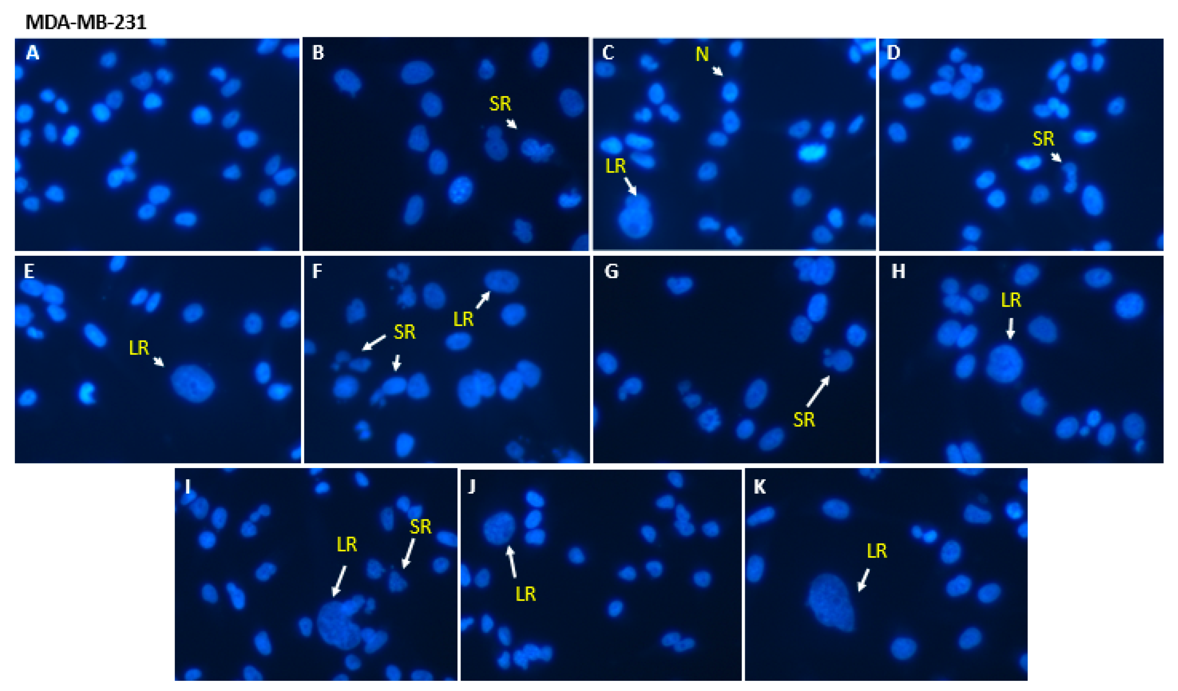 Pharmaceutics 15 00369 g003