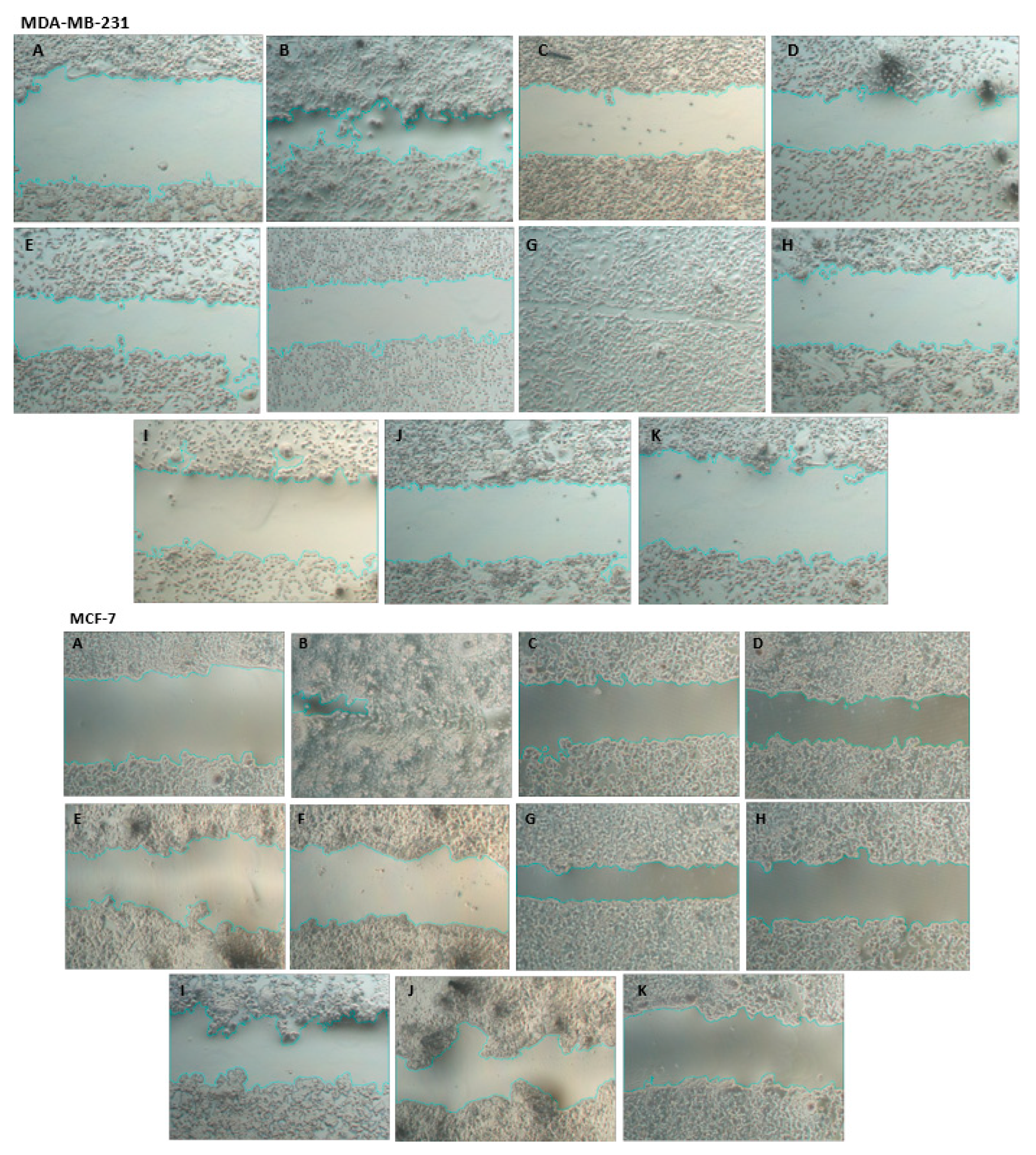 Pharmaceutics 15 00369 g004