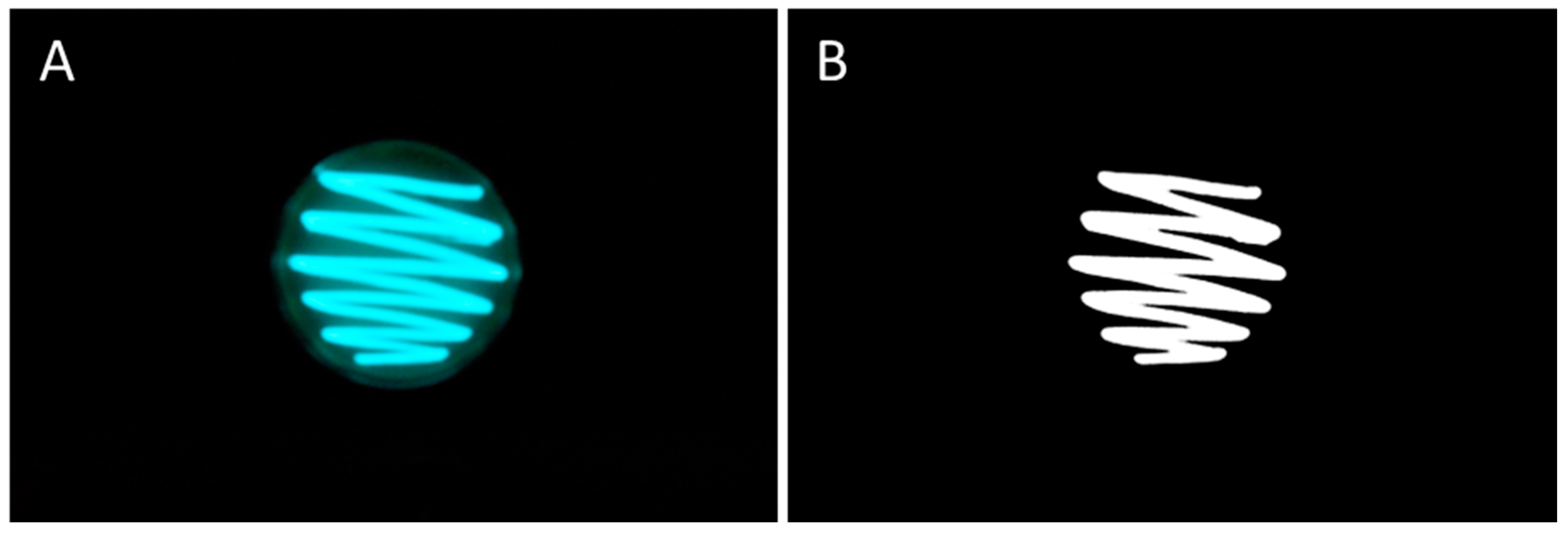 Pharmaceutics 15 00375 g001 Pharmaceutics 15 00375 g001