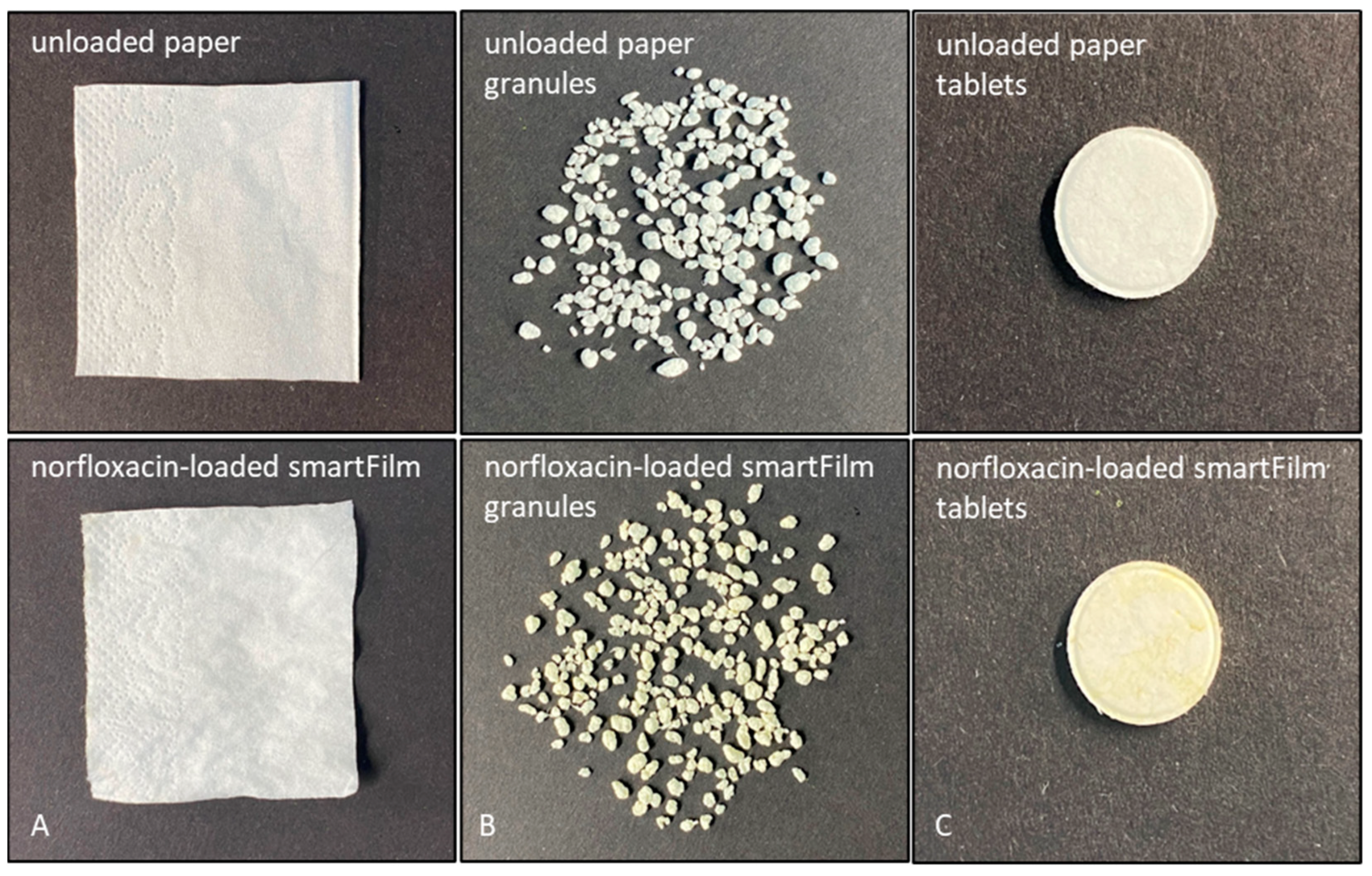 Pharmaceutics 15 00375 g002 Pharmaceutics 15 00375 g002