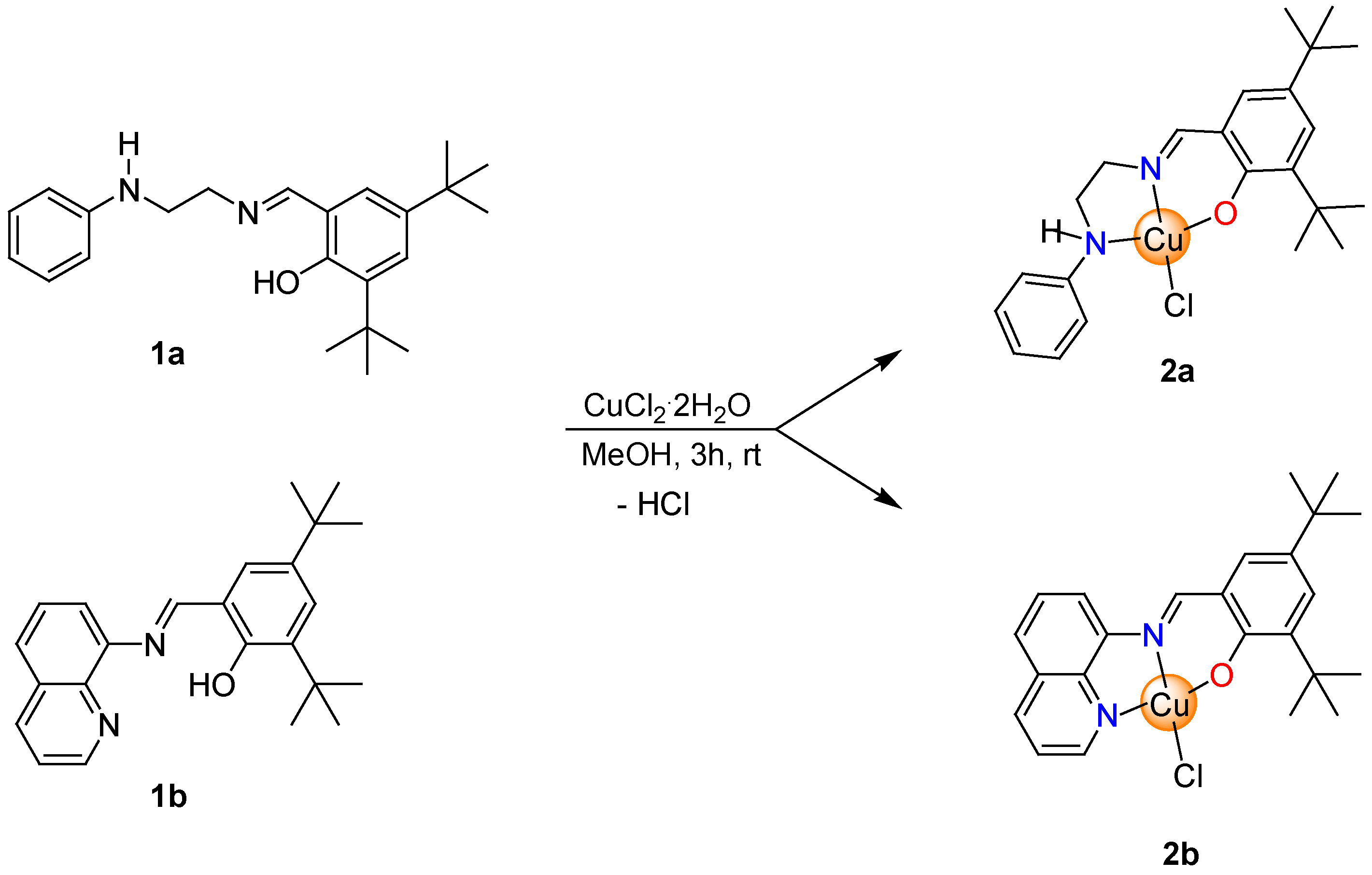 Pharmaceutics 15 00376 sch001 Pharmaceutics 15 00376 sch001