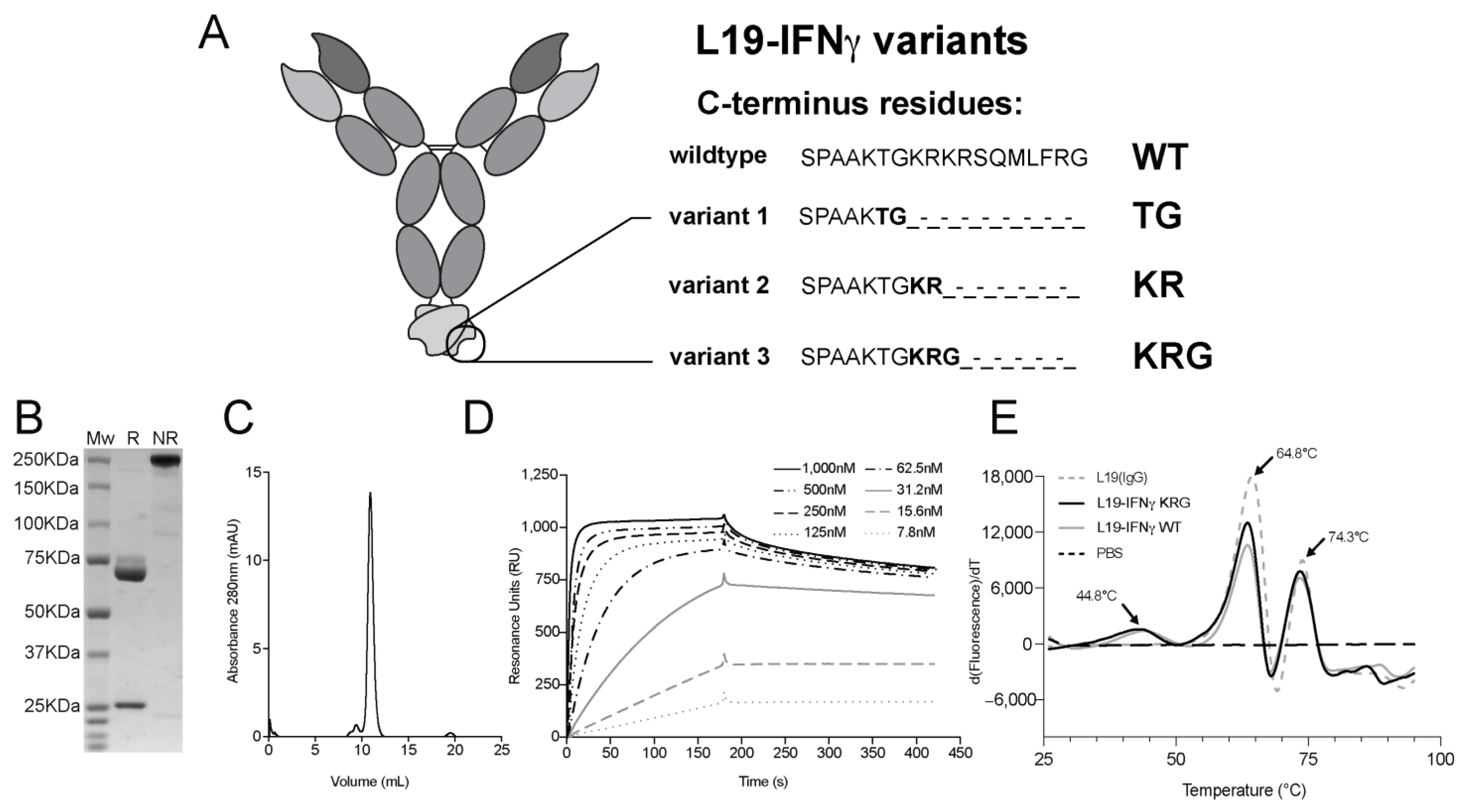 Pharmaceutics 15 00377 g001