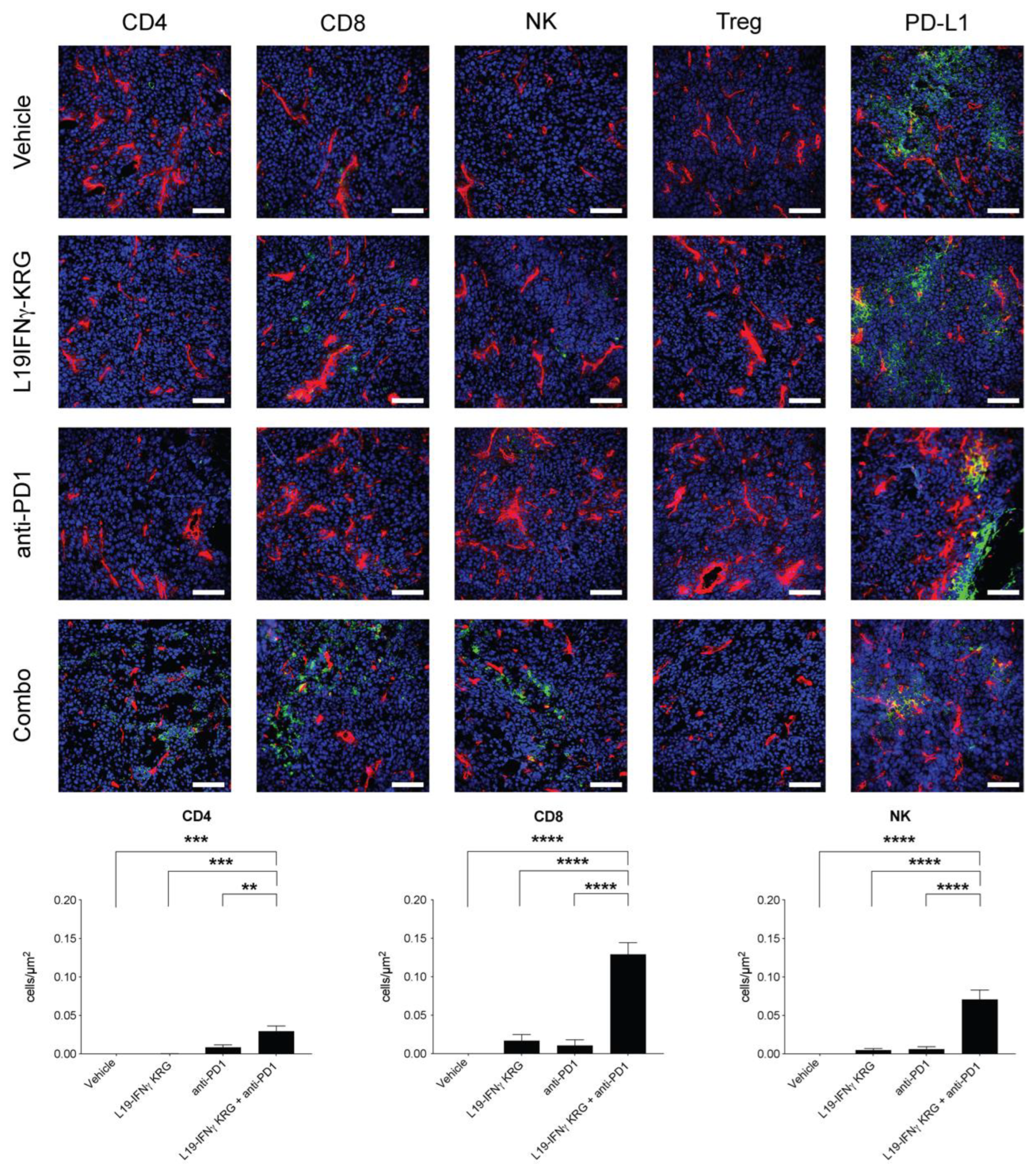 Pharmaceutics 15 00377 g006
