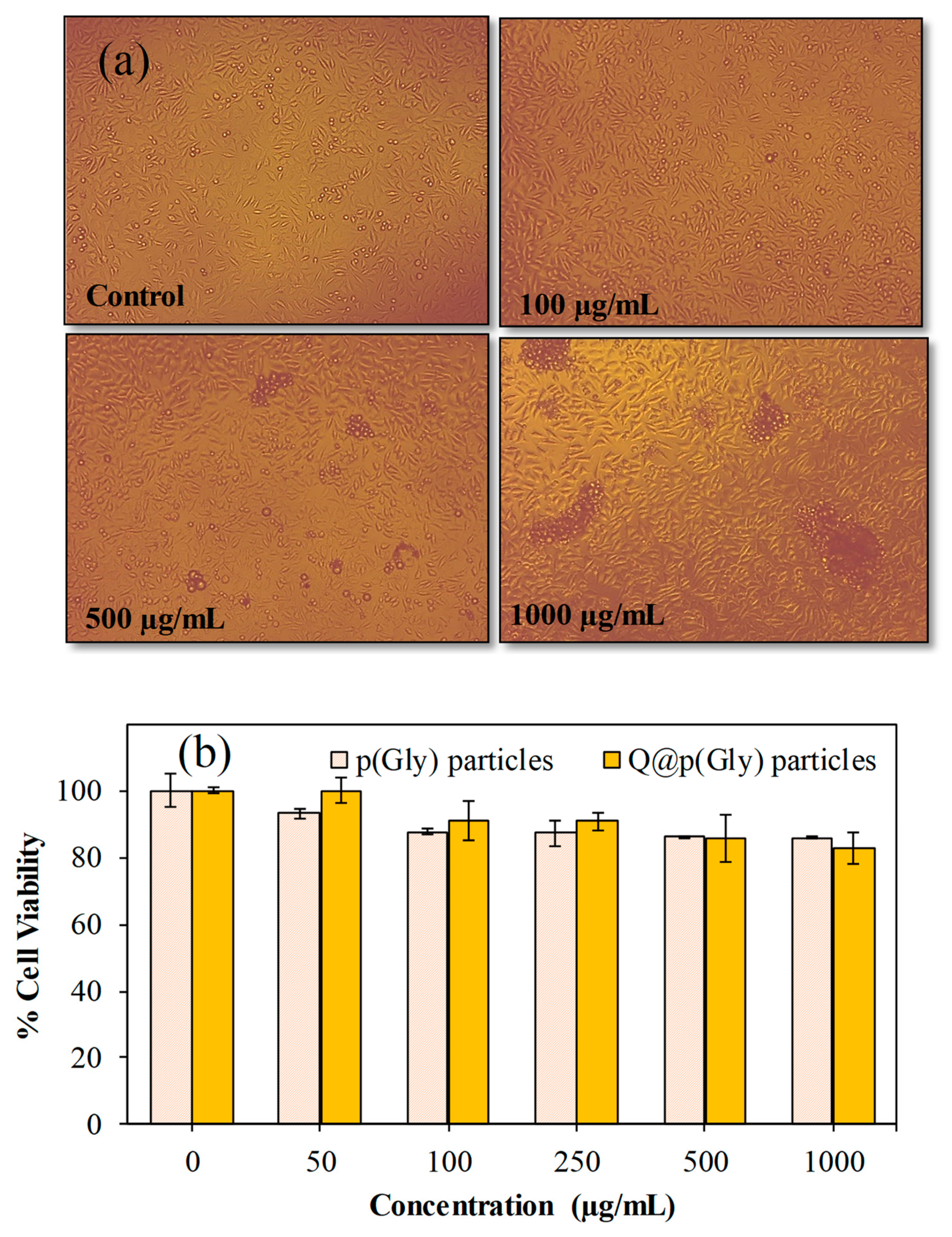 Pharmaceutics 15 00384 g005