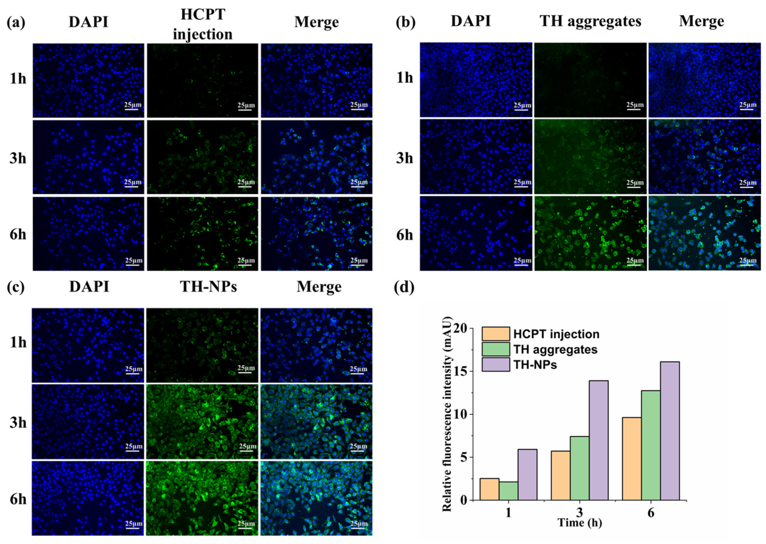 Pharmaceutics 15 00388 g008