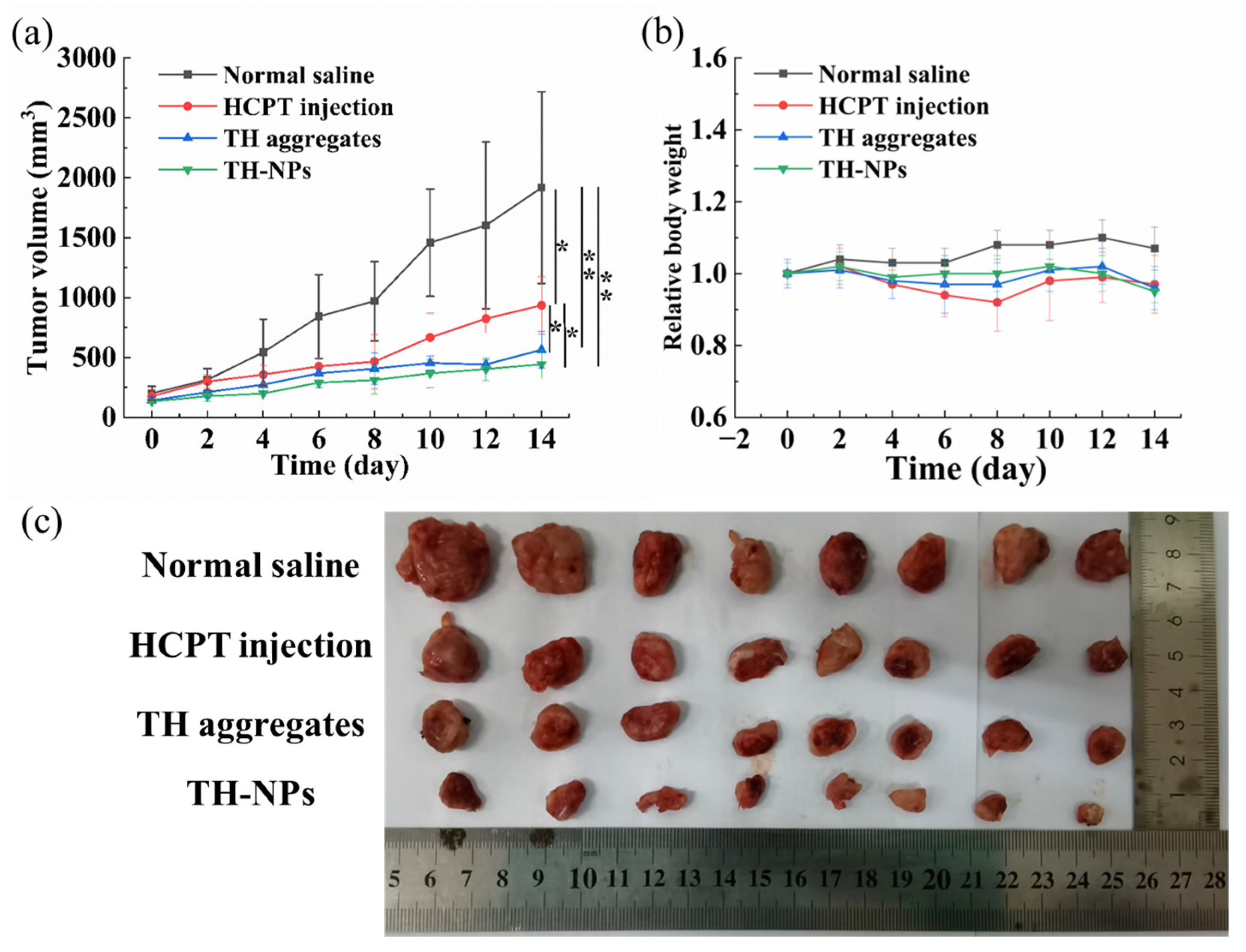 Pharmaceutics 15 00388 g010