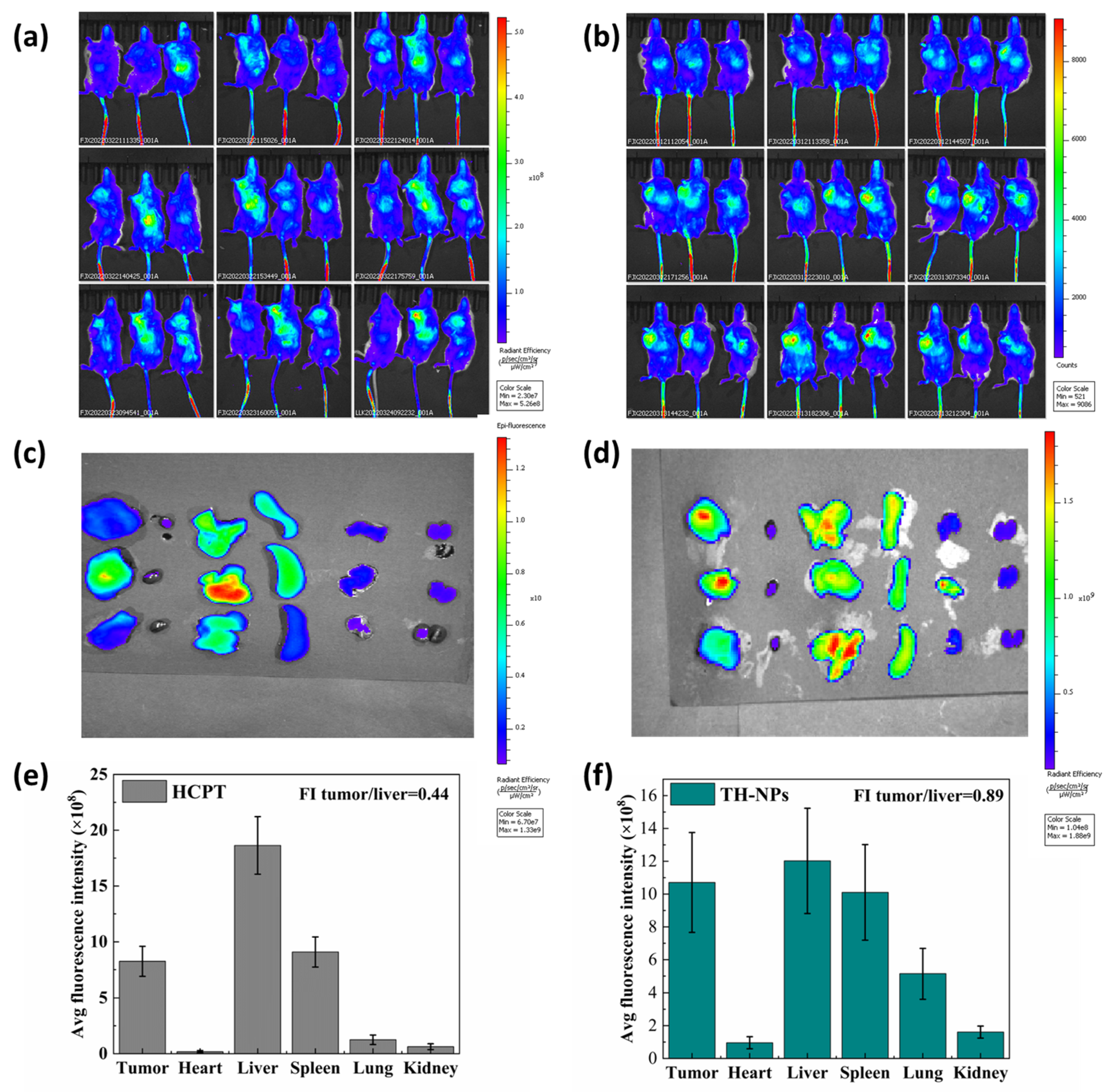 Pharmaceutics 15 00388 g011