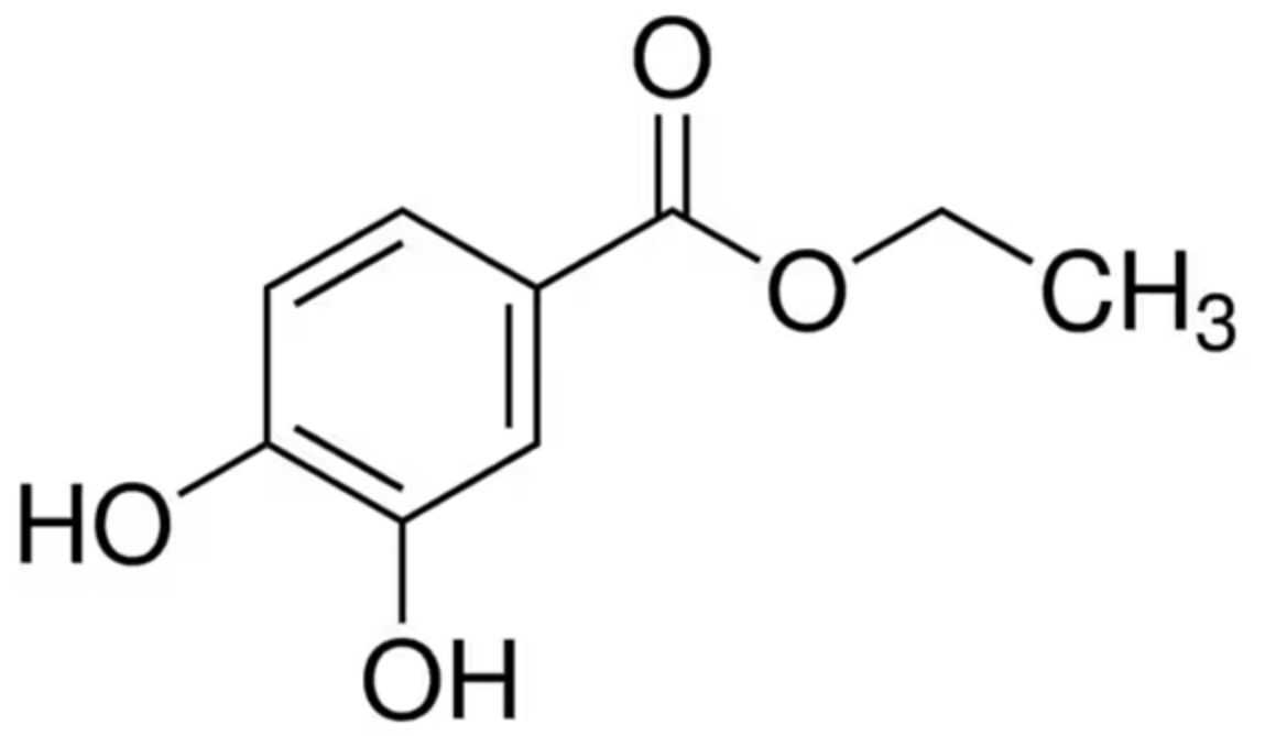 Pharmaceutics 15 00394 sch001 Pharmaceutics 15 00394 sch001