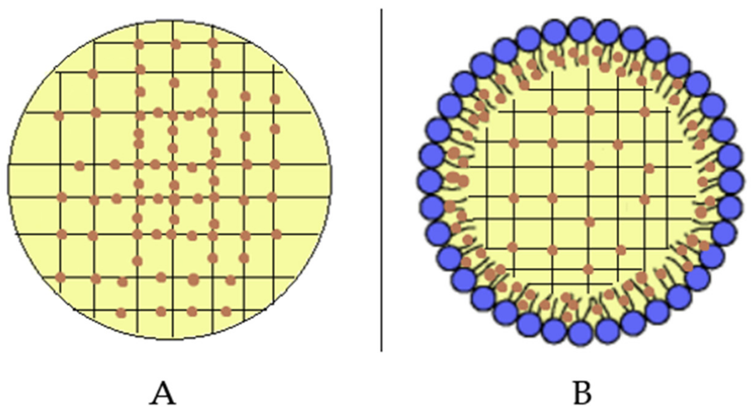 Pharmaceutics 15 00394 sch002 Pharmaceutics 15 00394 sch002