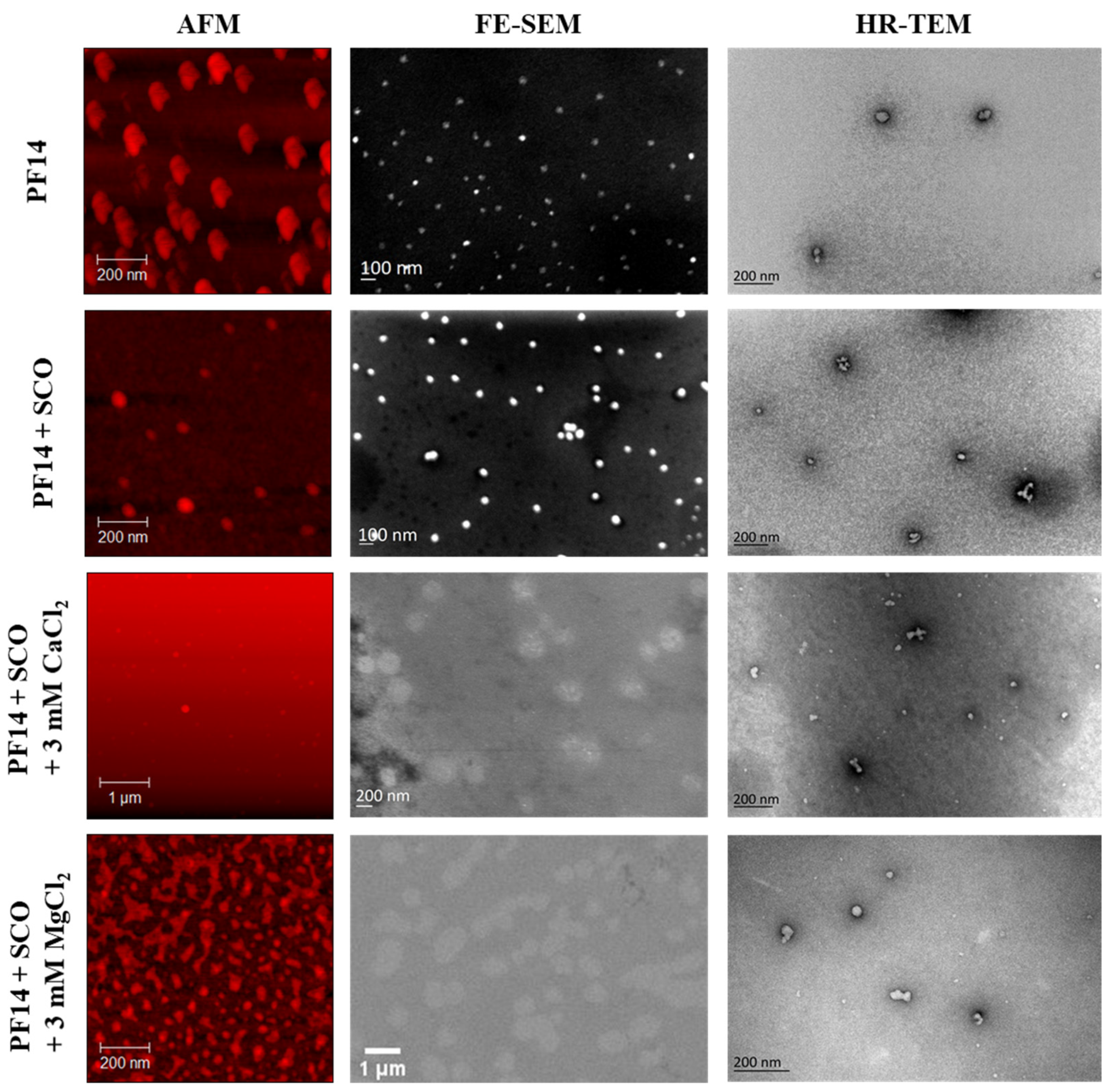 Pharmaceutics 15 00396 g005