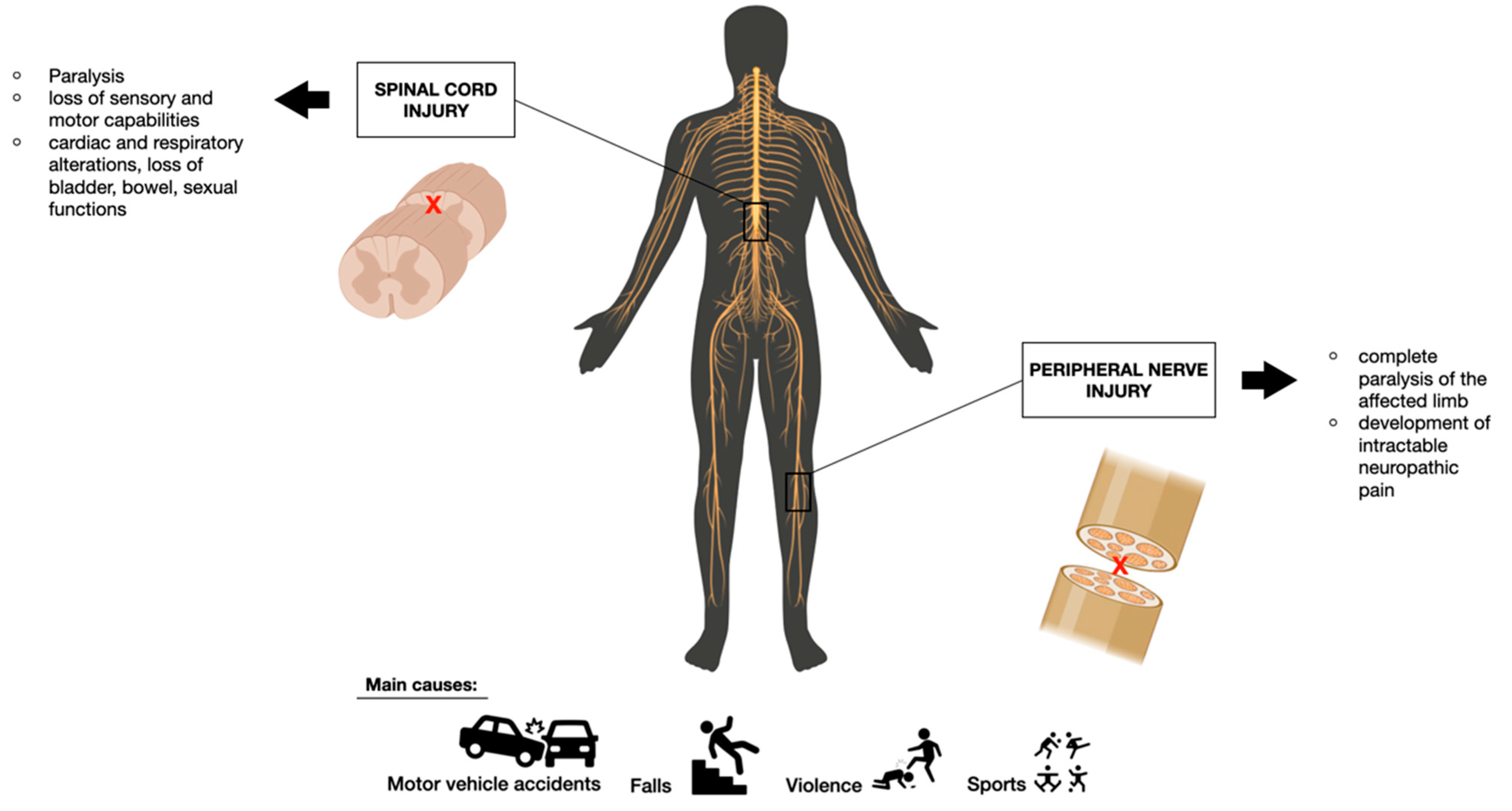 Pharmaceutics 15 00400 g001 Pharmaceutics 15 00400 g001