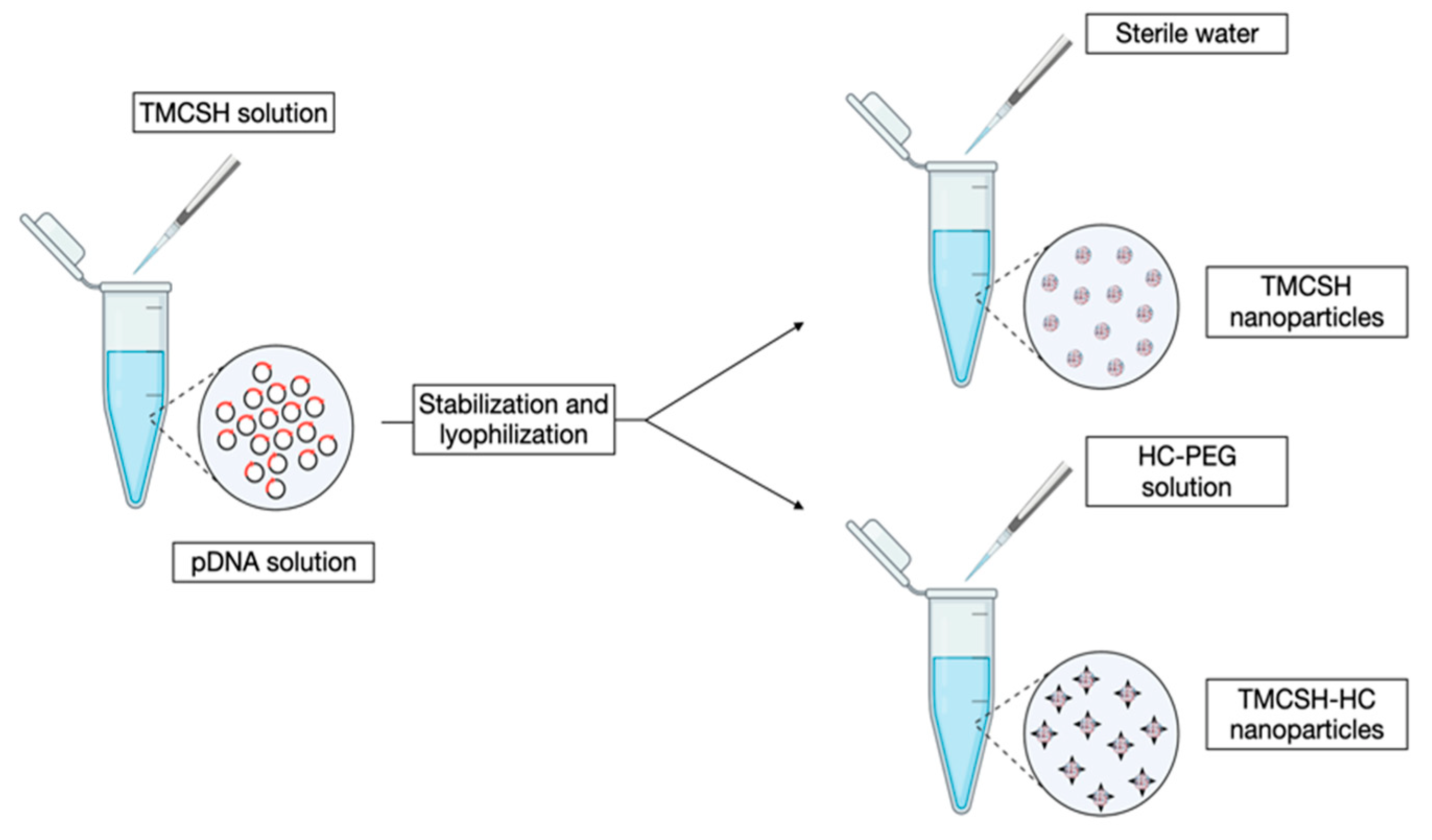 Pharmaceutics 15 00400 g004 Pharmaceutics 15 00400 g004