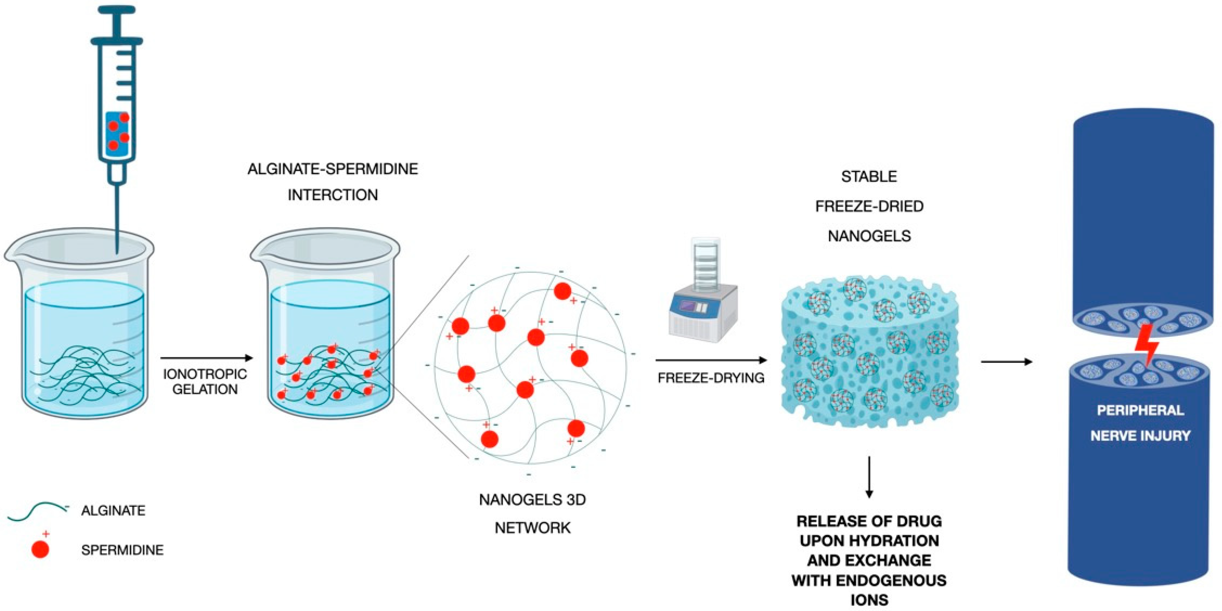 Pharmaceutics 15 00400 g005 Pharmaceutics 15 00400 g005