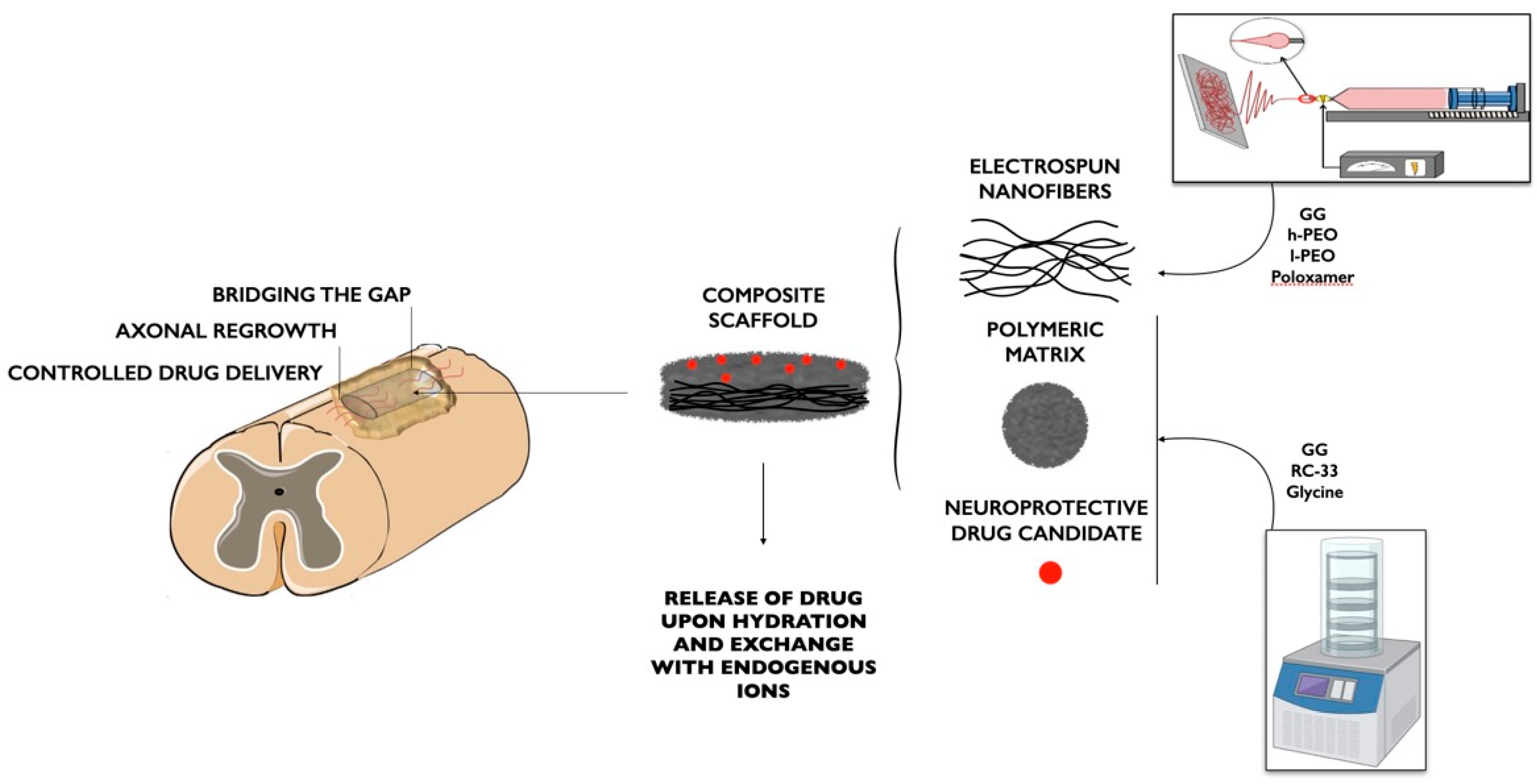 Pharmaceutics 15 00400 g006 Pharmaceutics 15 00400 g006