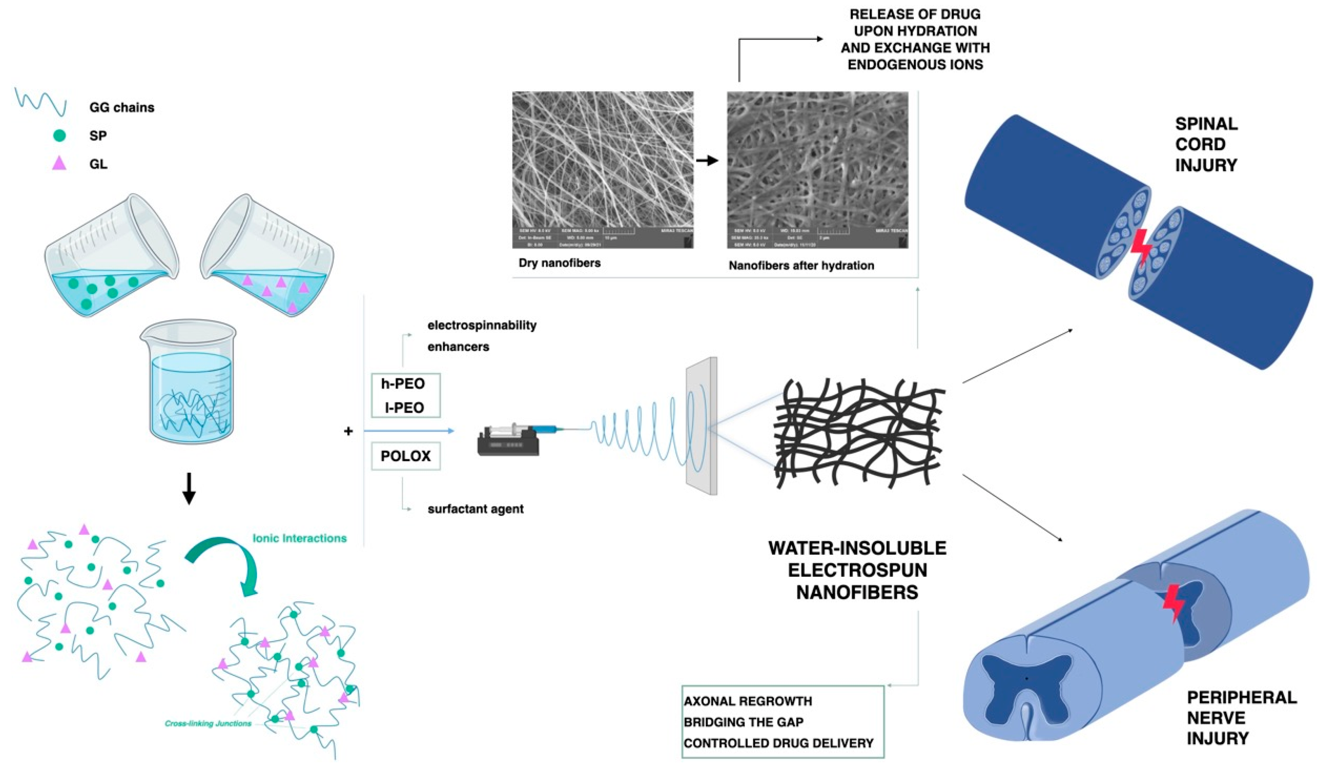 Pharmaceutics 15 00400 g007 Pharmaceutics 15 00400 g007