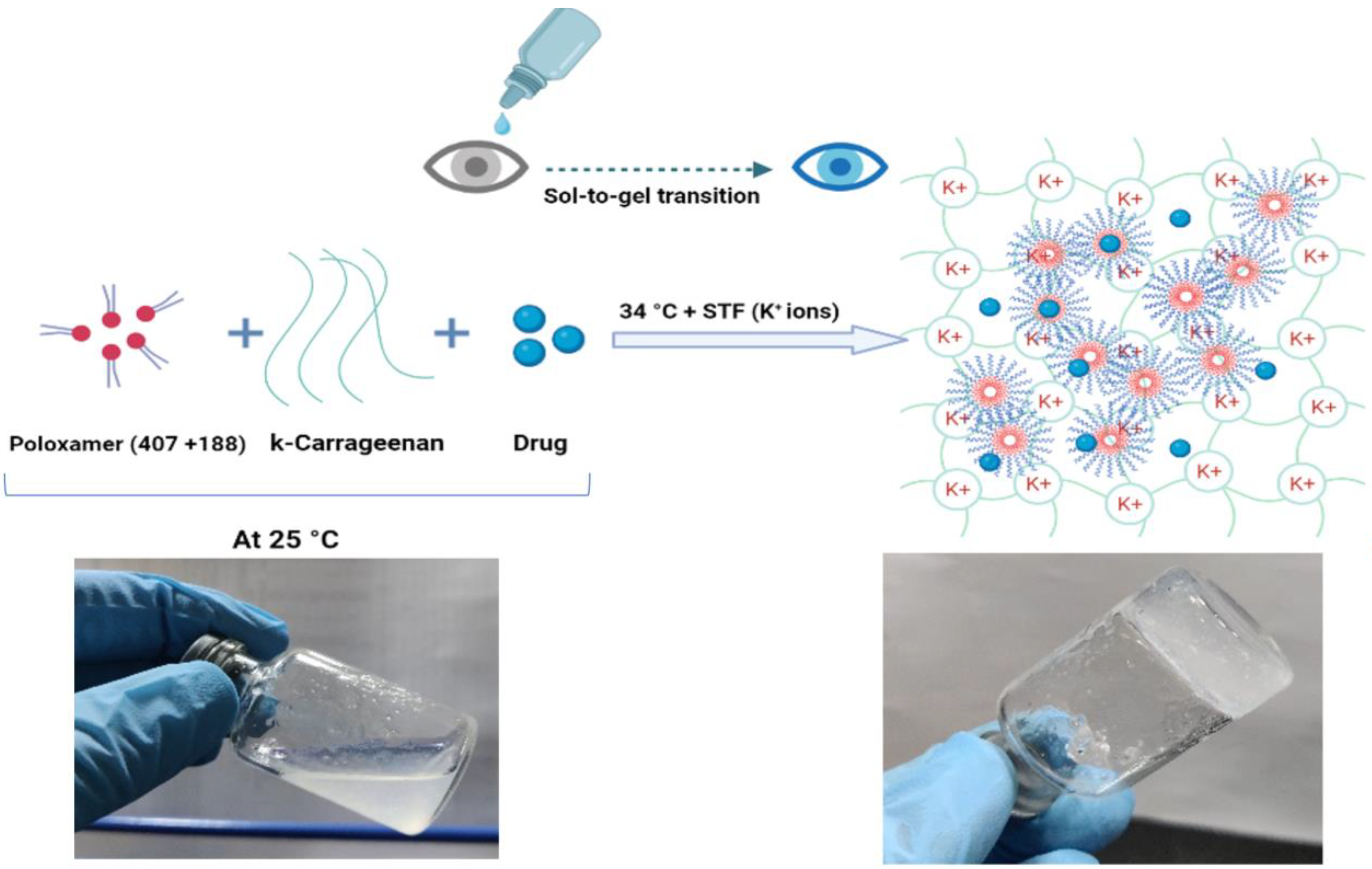 Pharmaceutics 15 00405 g001