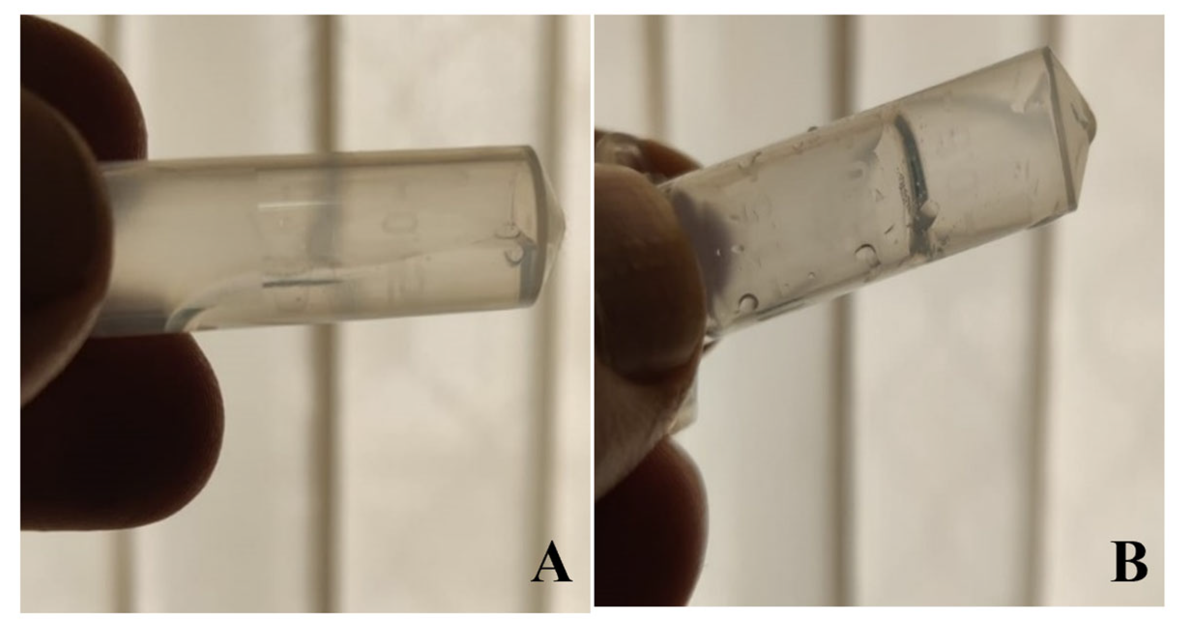 Pharmaceutics 15 00405 g003