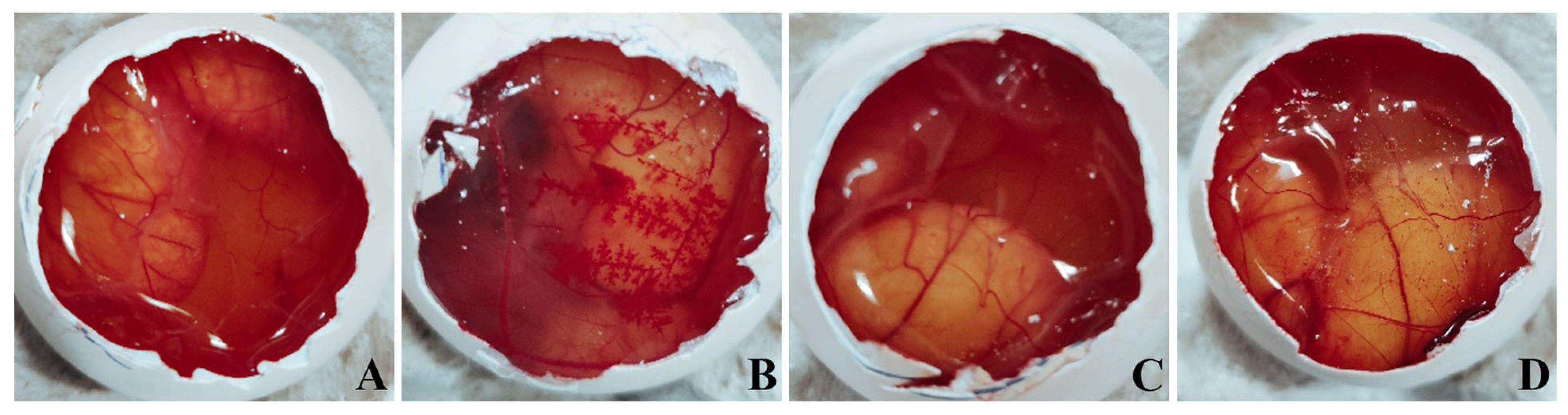 Pharmaceutics 15 00405 g007