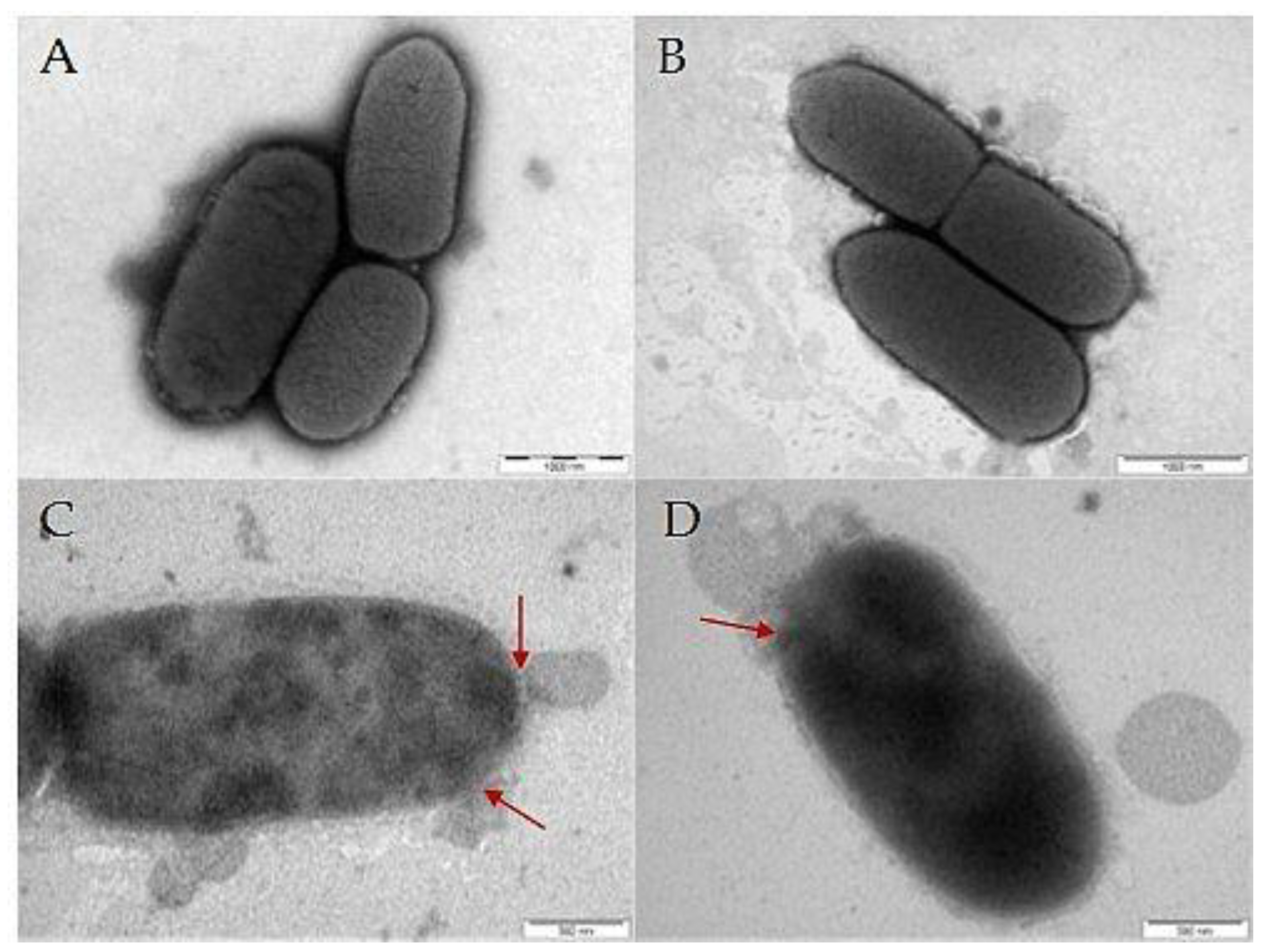 Pharmaceutics 15 00406 g006