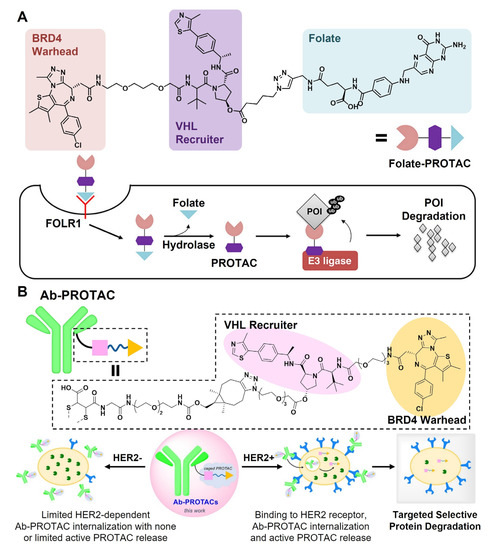 Pharmaceutics 15 00411 g004