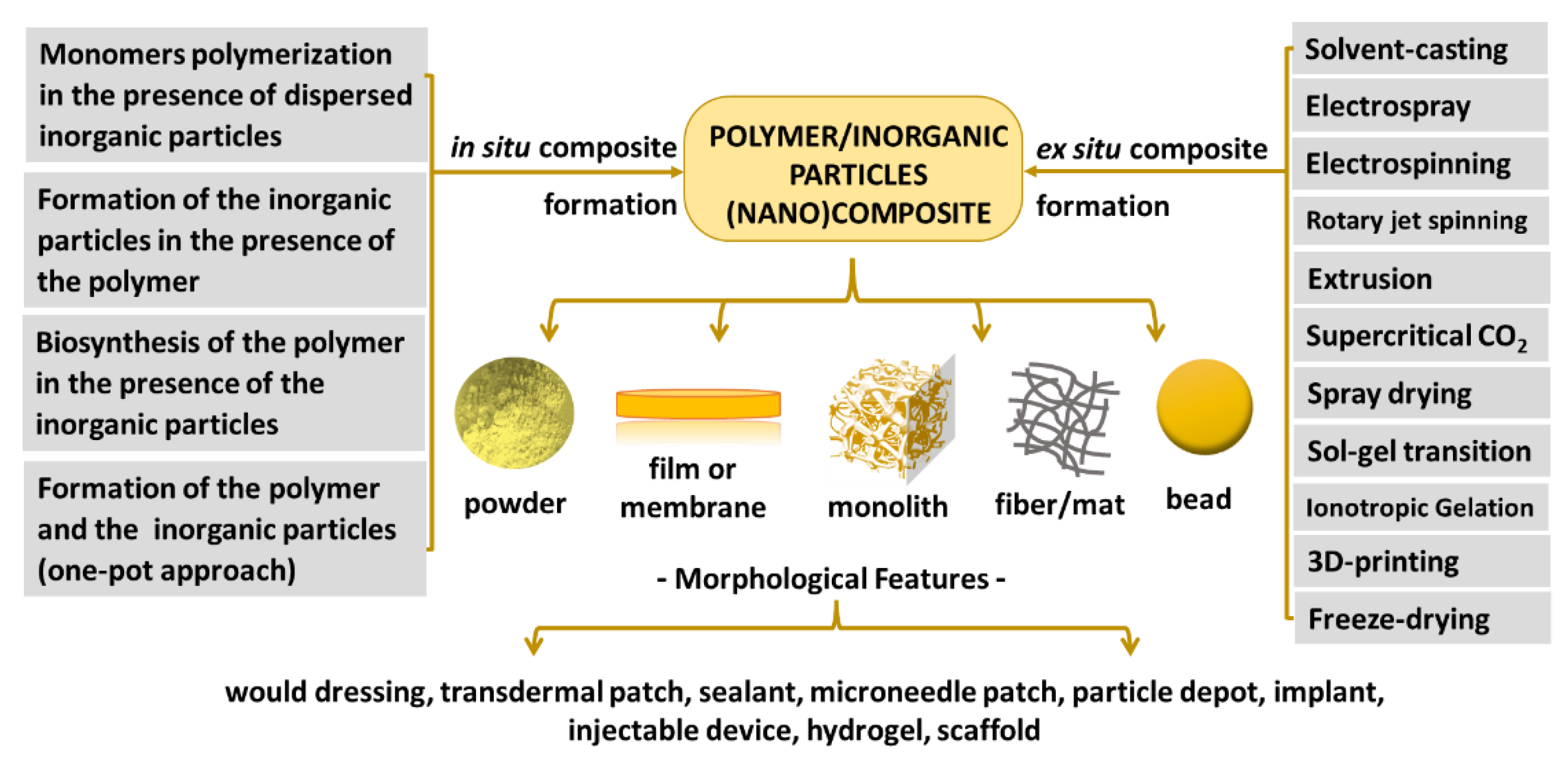 Pharmaceutics 15 00413 g005