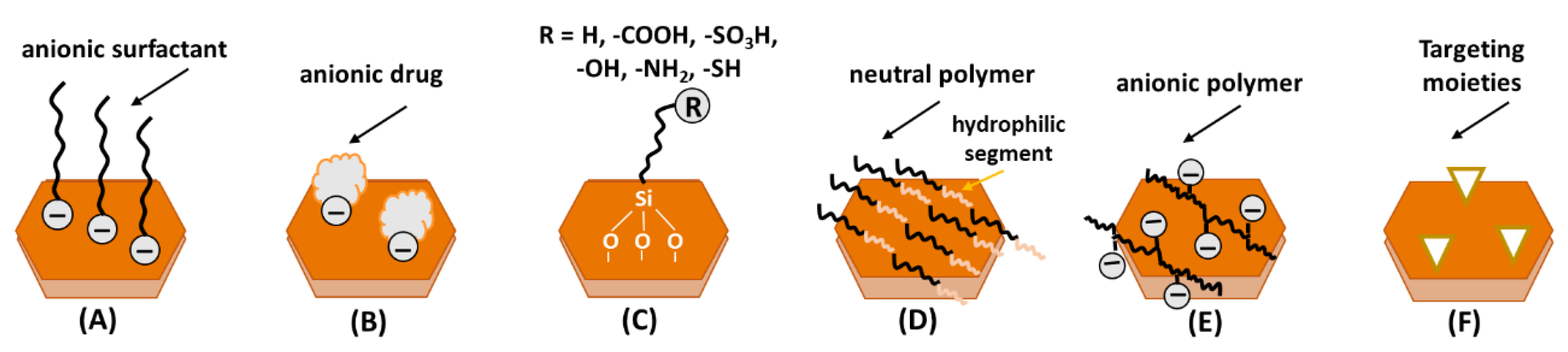Pharmaceutics 15 00413 g012