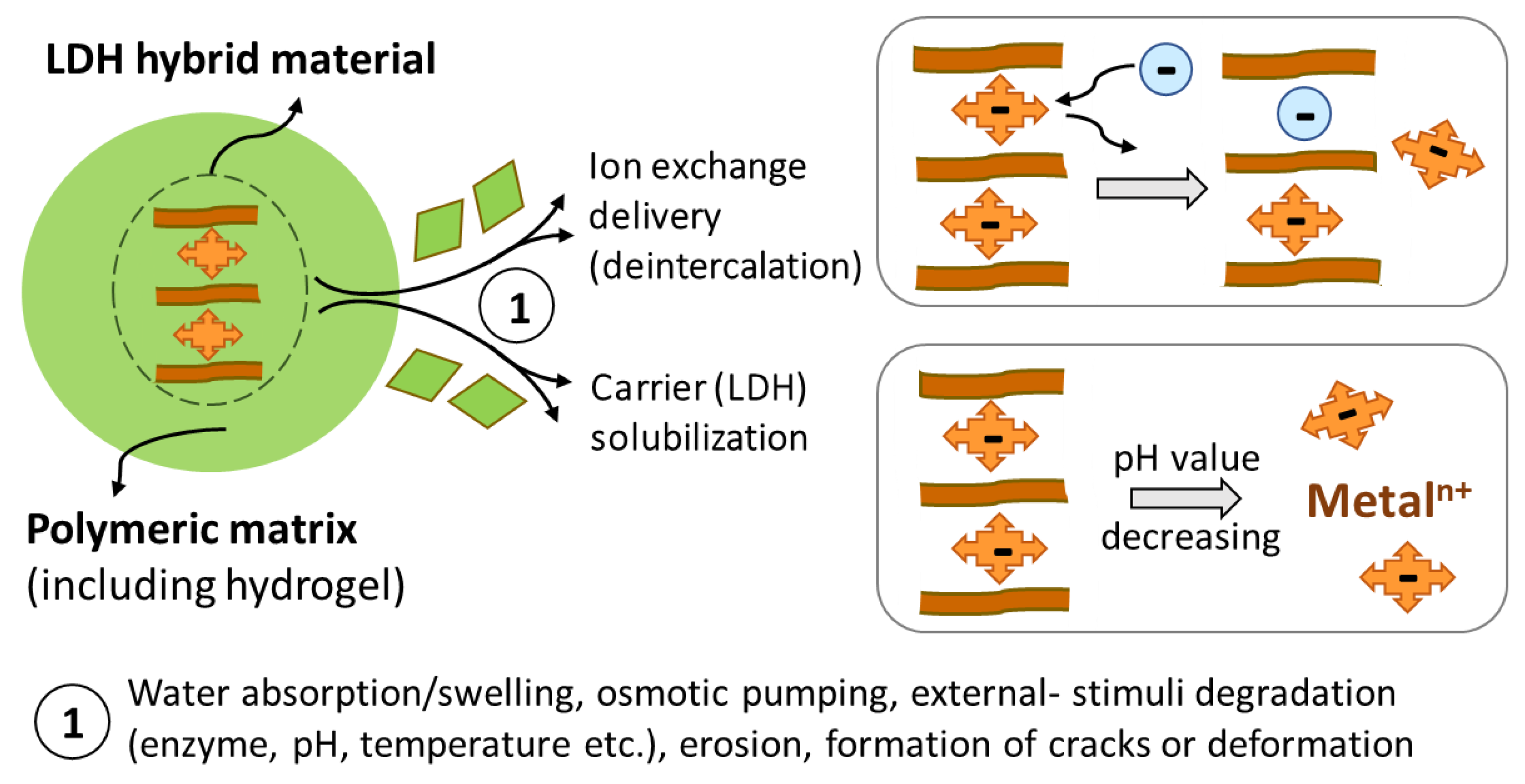 Pharmaceutics 15 00413 g015