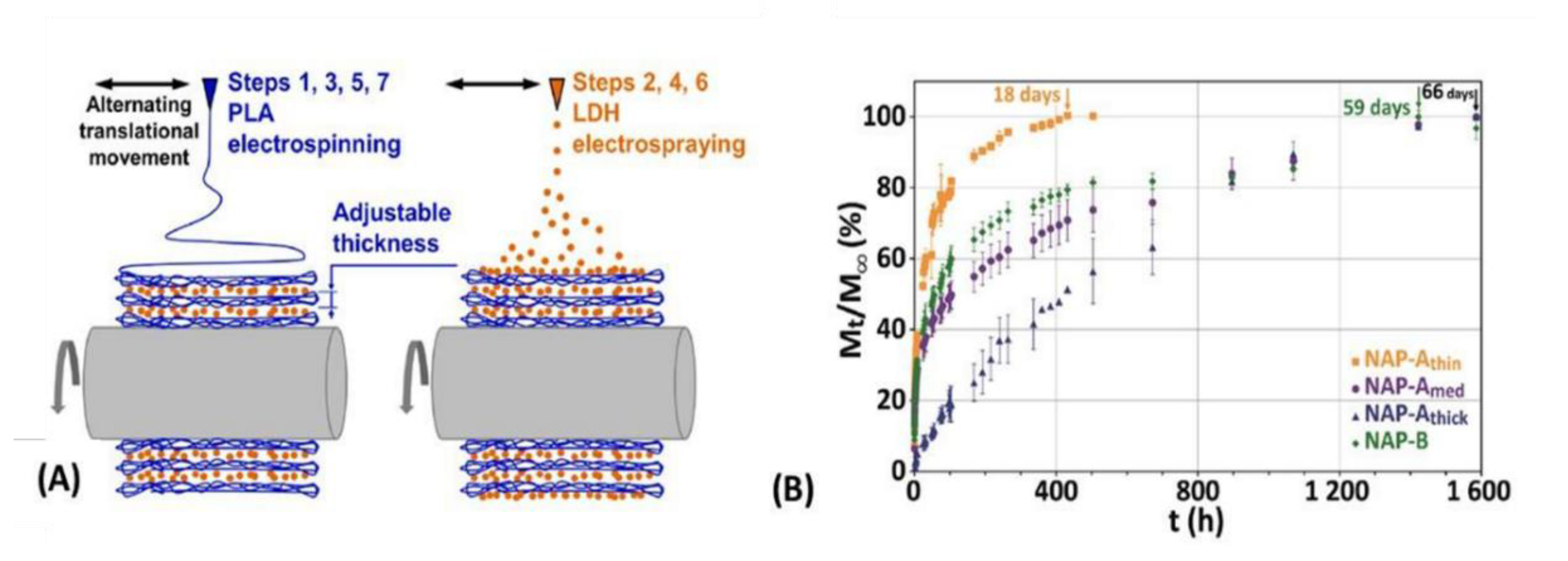 Pharmaceutics 15 00413 g018