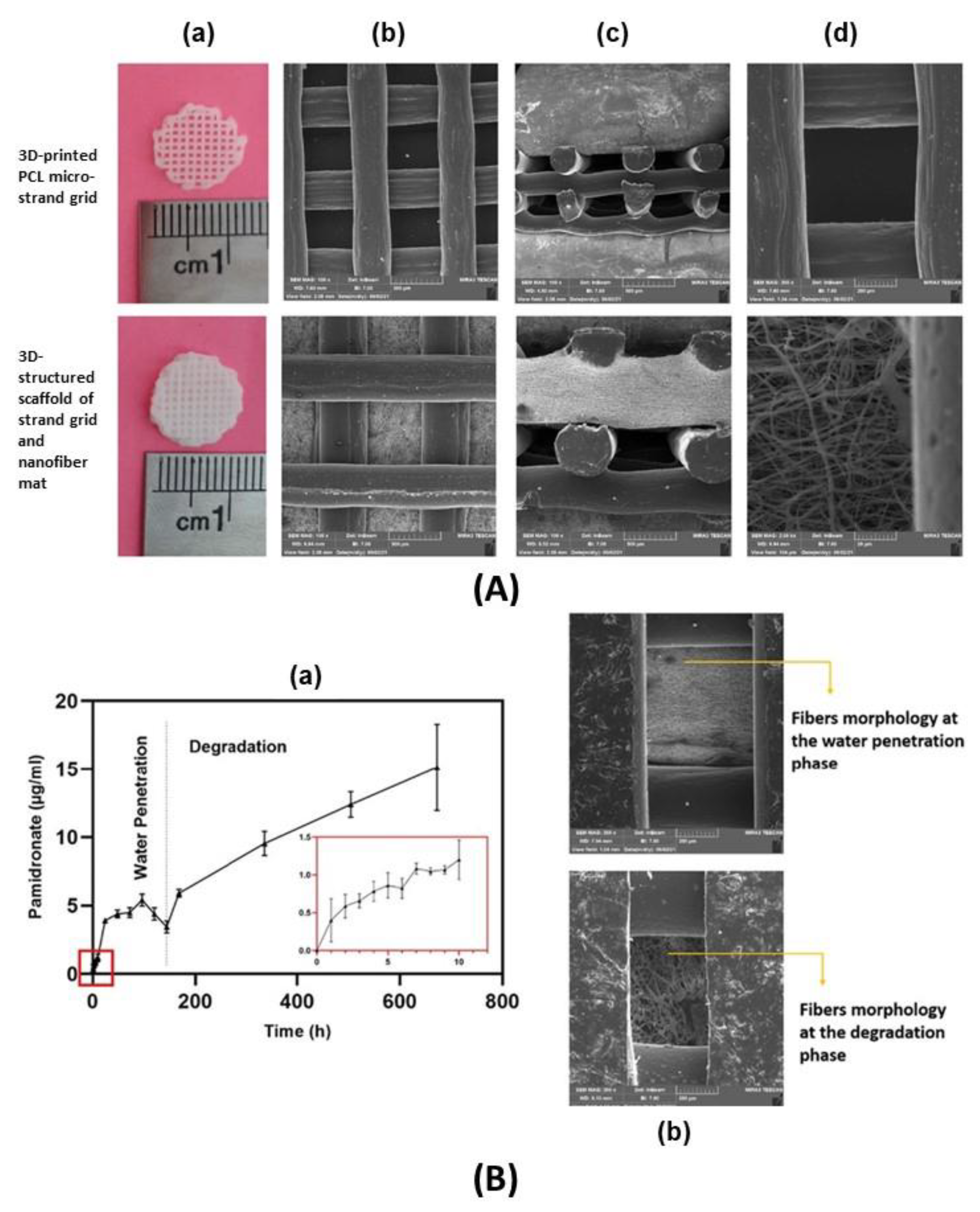 Pharmaceutics 15 00413 g020