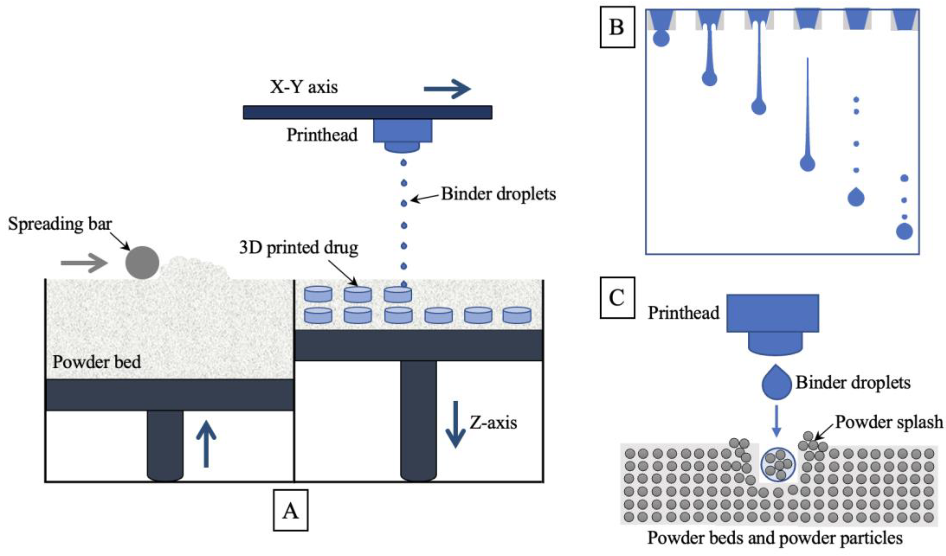 Pharmaceutics 15 00416 g001
