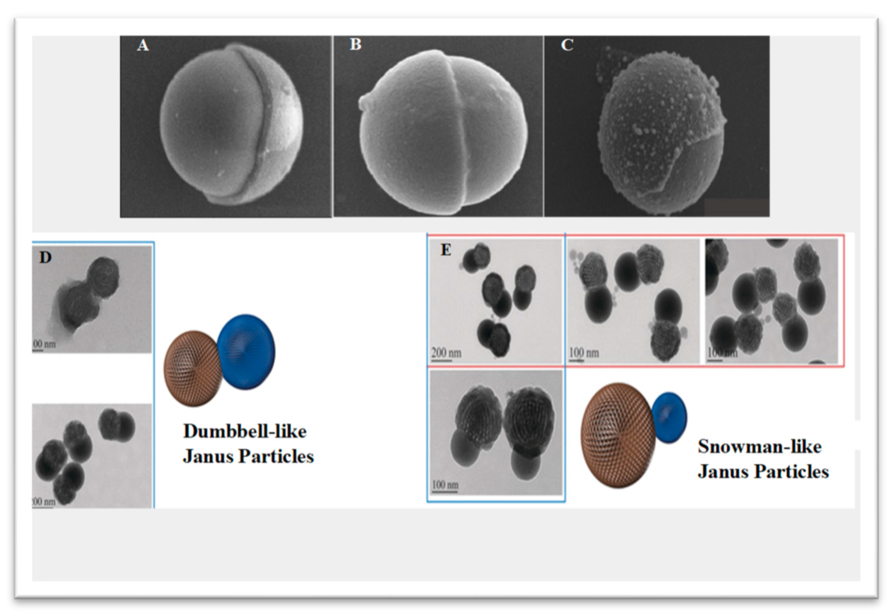 Pharmaceutics 15 00423 g001