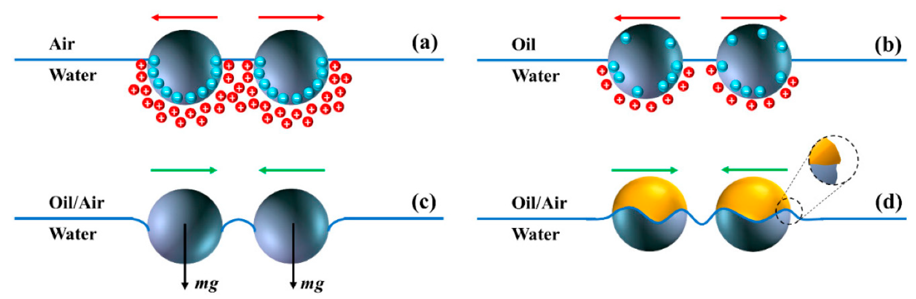 Pharmaceutics 15 00423 g002