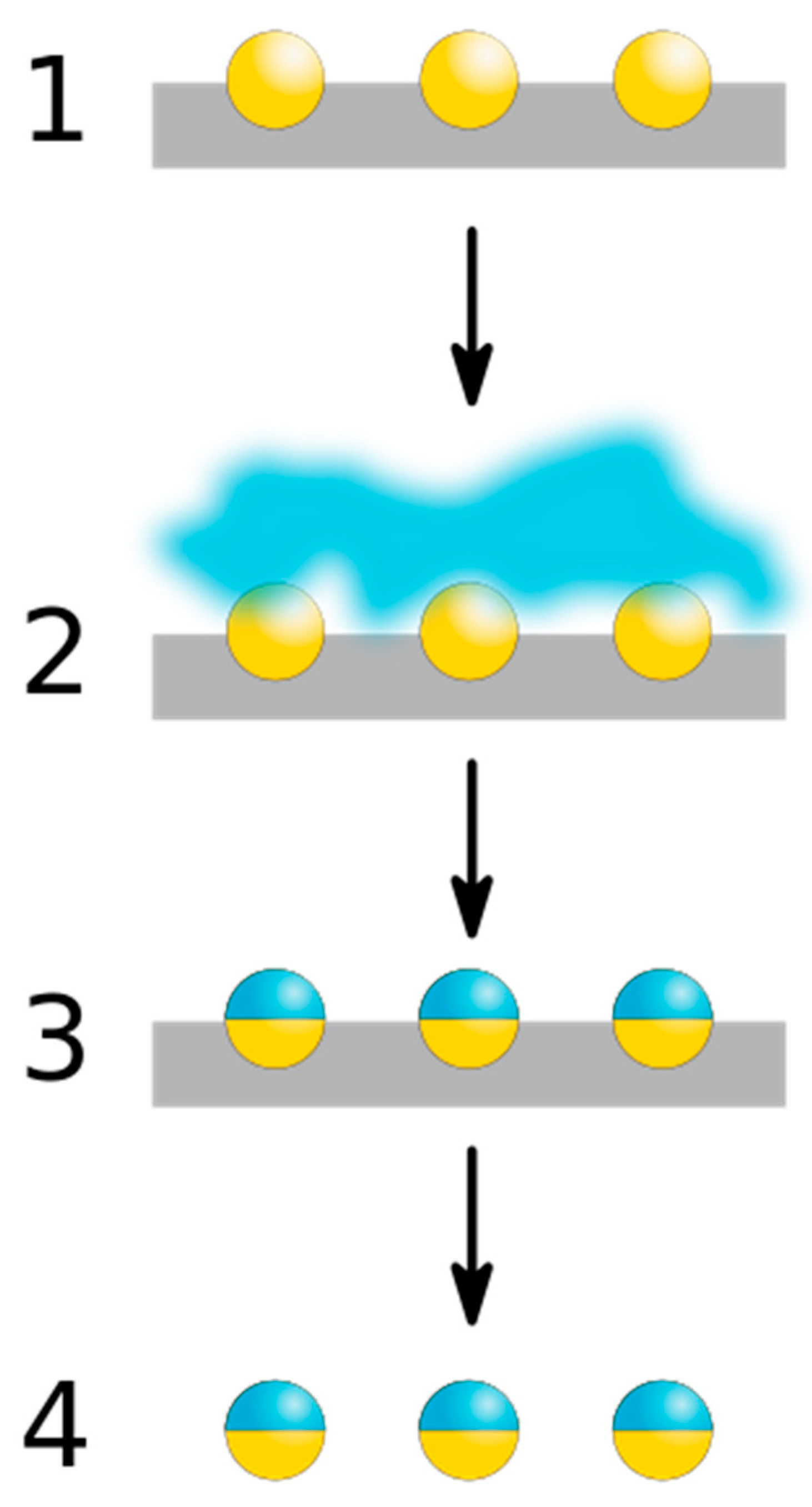Pharmaceutics 15 00423 g006