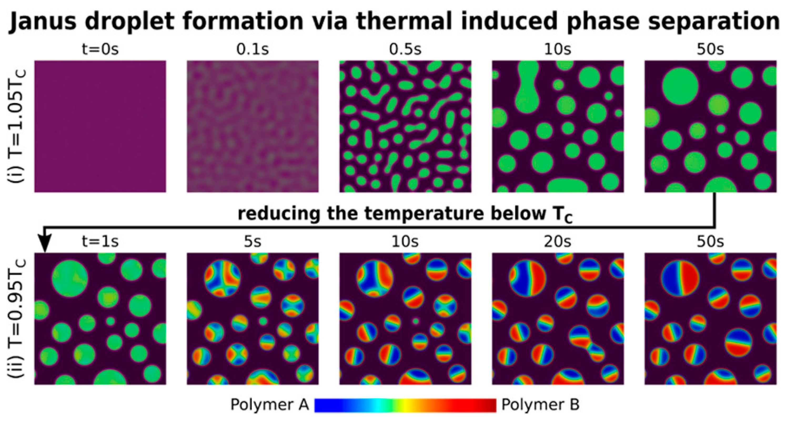 Pharmaceutics 15 00423 g009