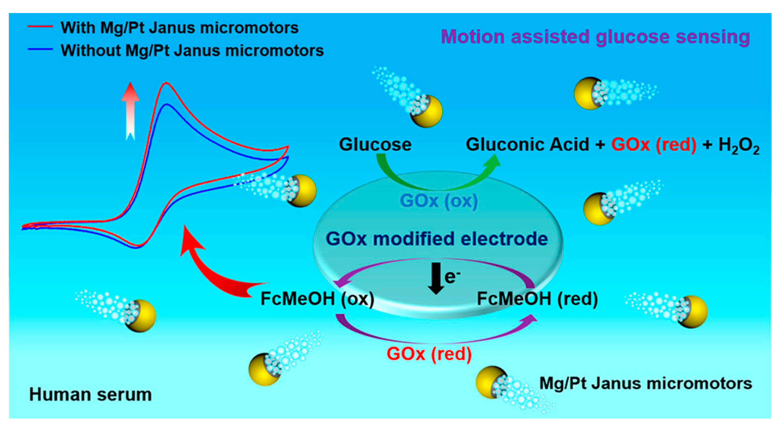 Pharmaceutics 15 00423 g010