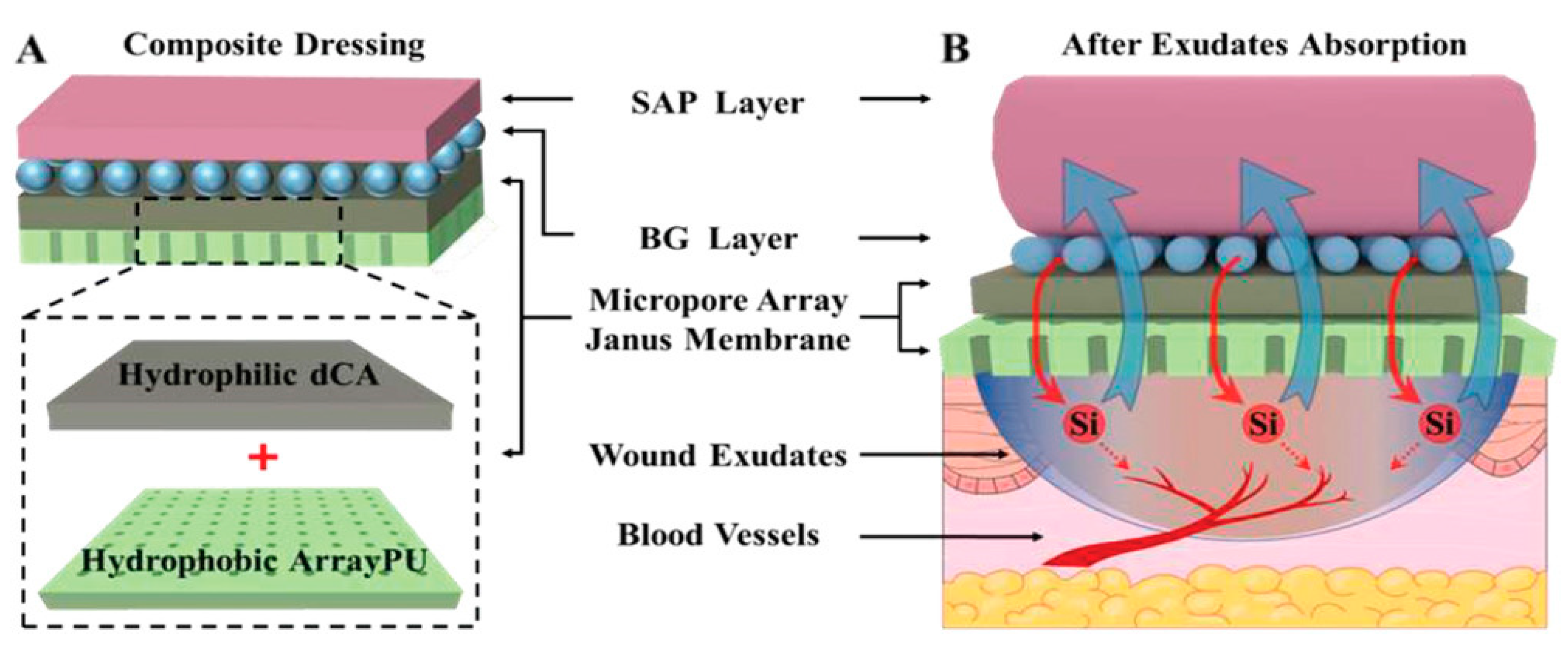 Pharmaceutics 15 00423 g011