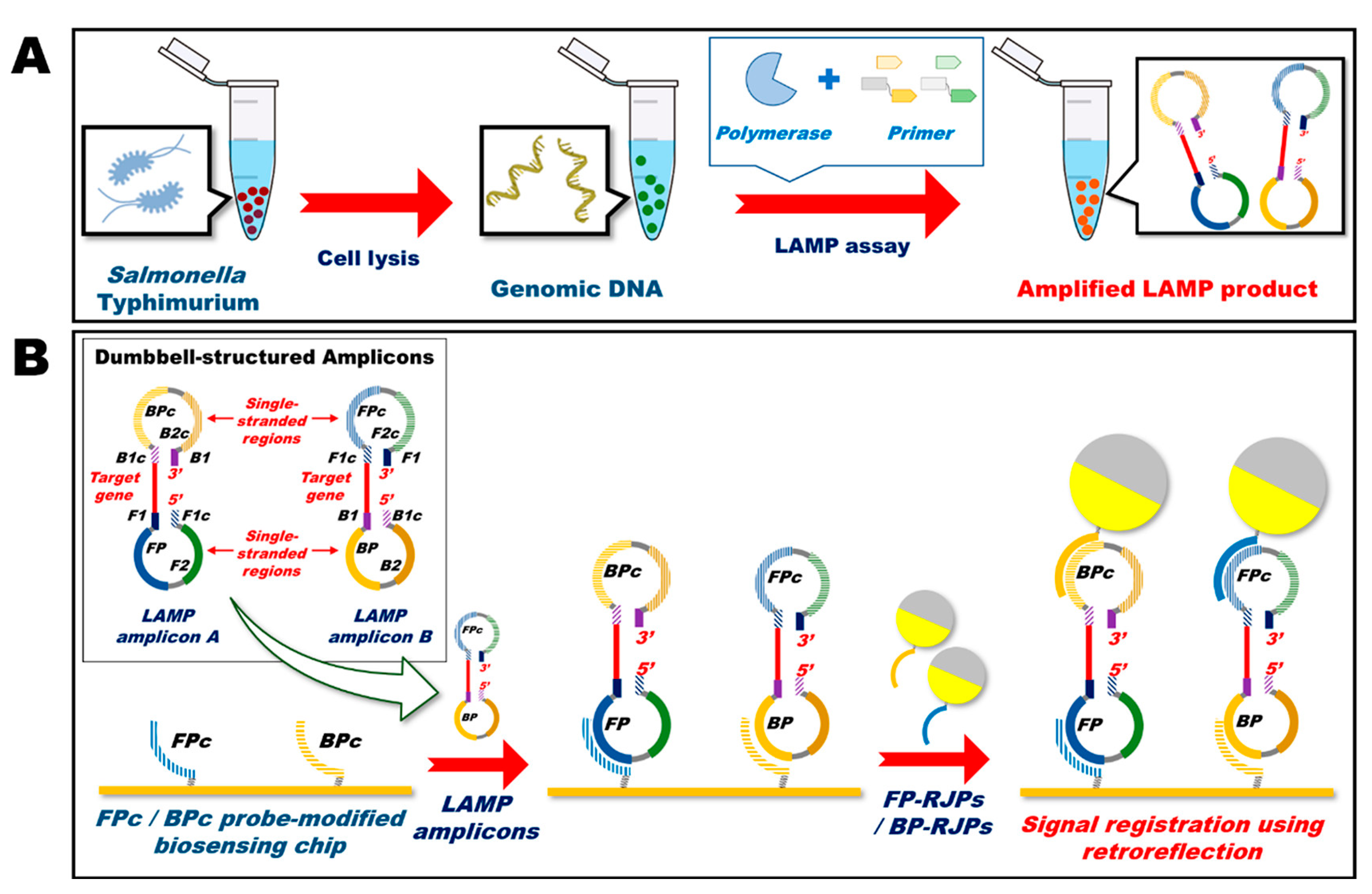 Pharmaceutics 15 00423 g013