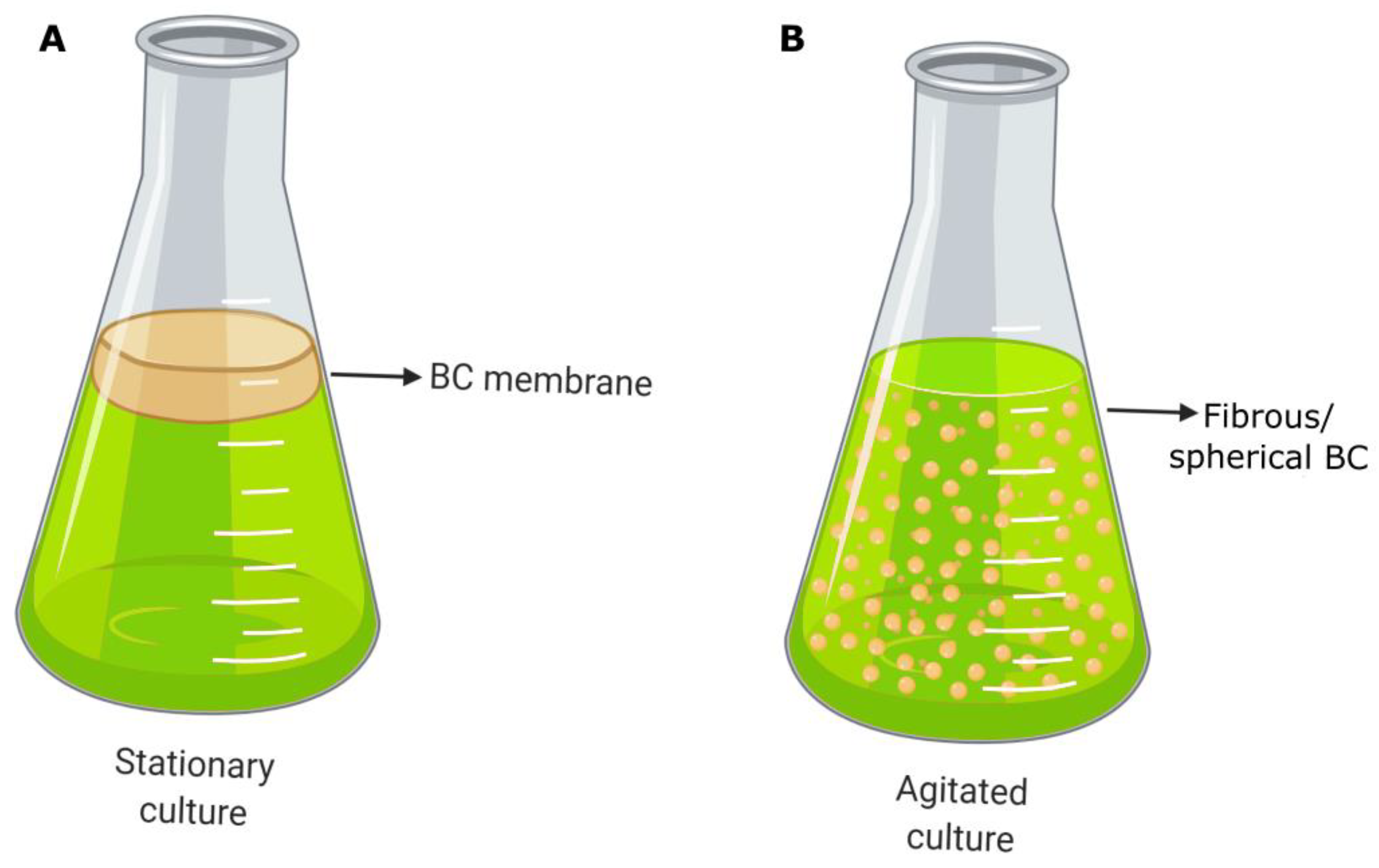 Pharmaceutics 15 00424 g002